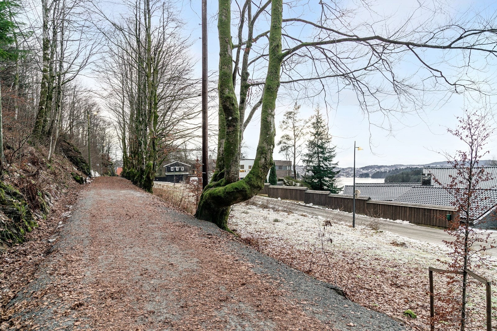 Flotte turområder i nærheten, blant annet på Troldhaugen Galleribilde