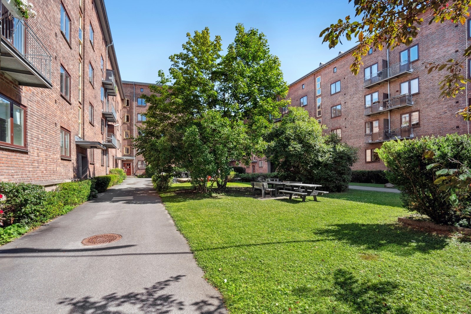 Sameiet har en hyggelig bakgård som er pent opparbeidet med blant annet plen og beplantning Galleribilde