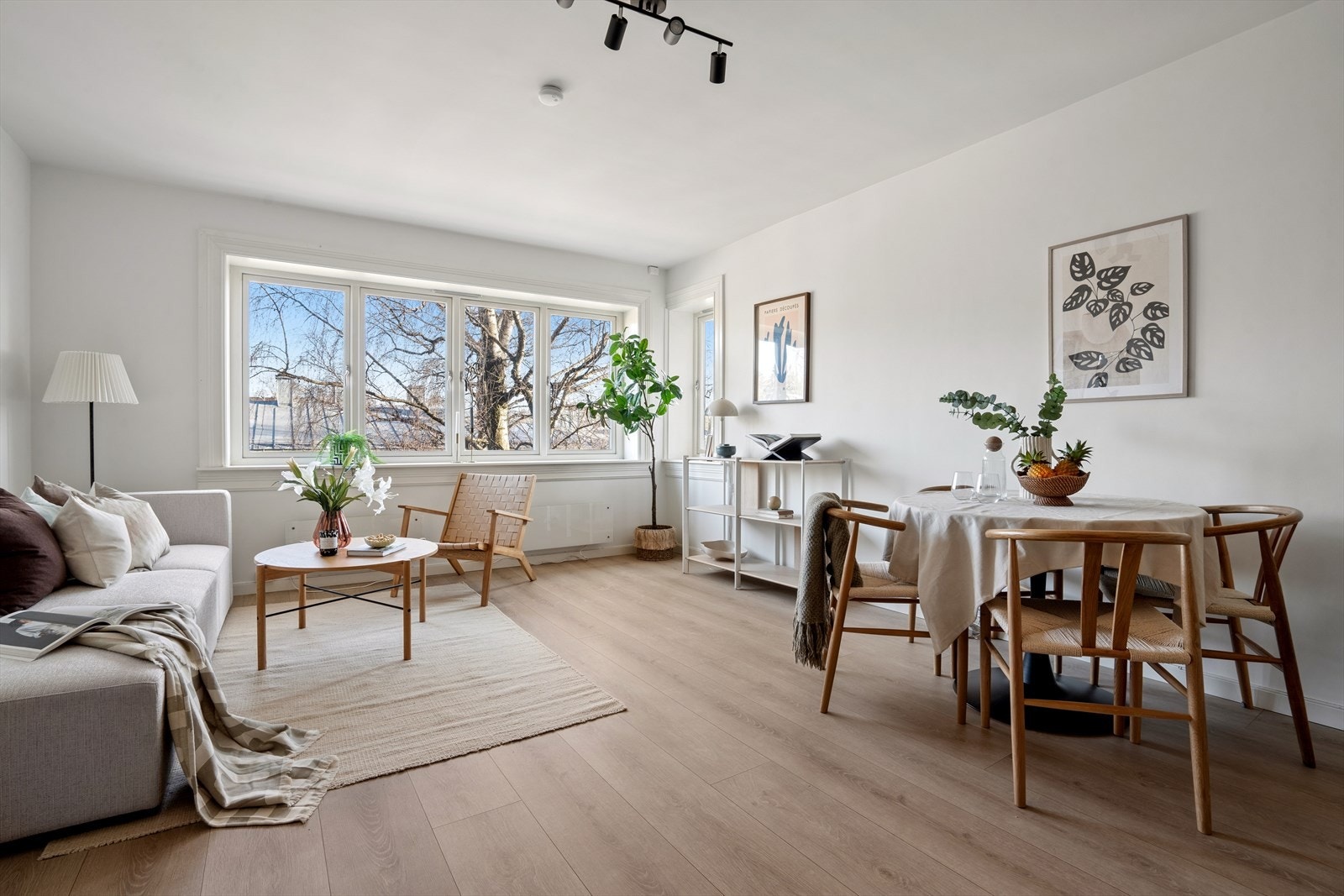 Store, dype vindusflater fyller den gjennomgående leiligheten med dagslys, noe som skaper en lys og luftig atmosfære Galleribilde