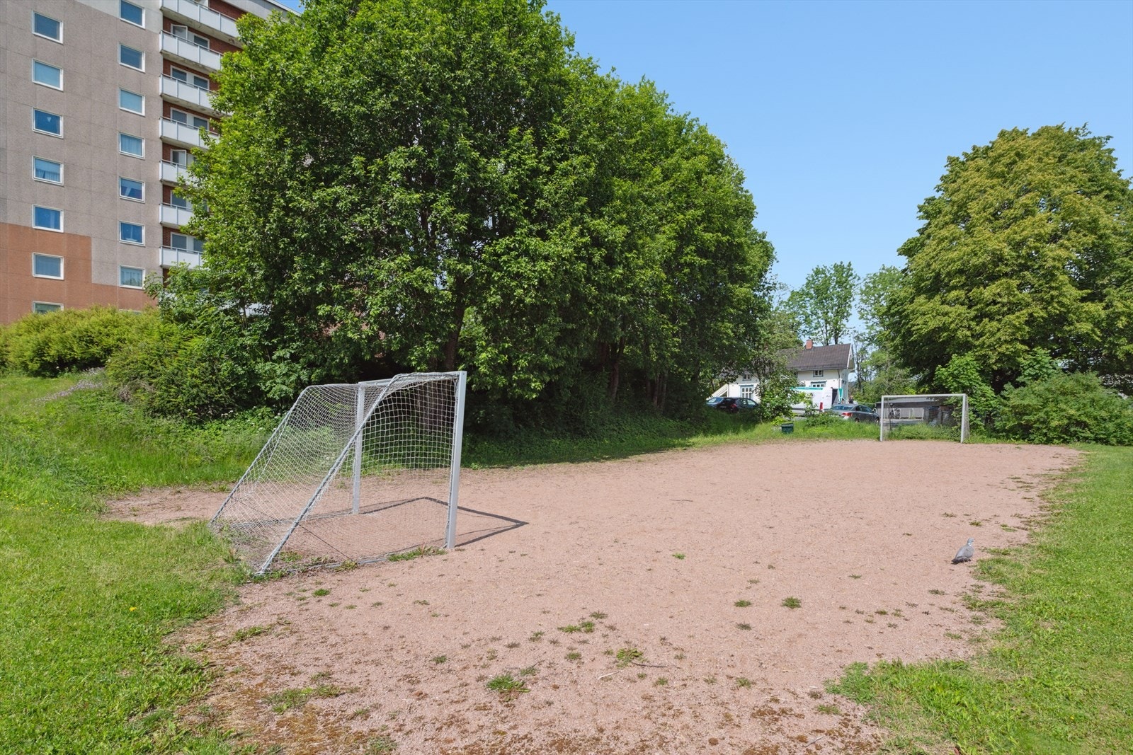 Rett utenfor leiligheten finnes det flust av muligheter for de aktive. Galleribilde