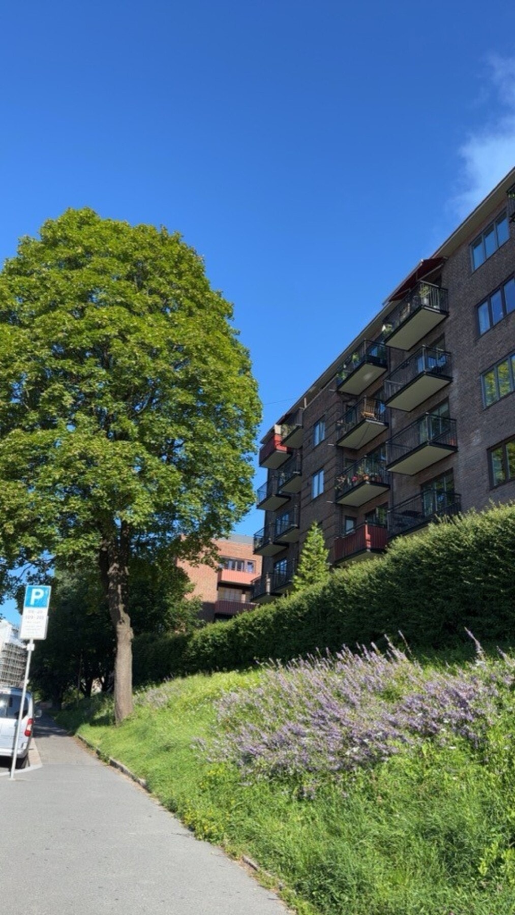 Selgerbilde. Galleribilde