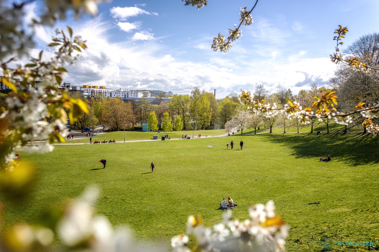 Fantastiske Myraløkka med Akerselva rett ved. Galleribilde
