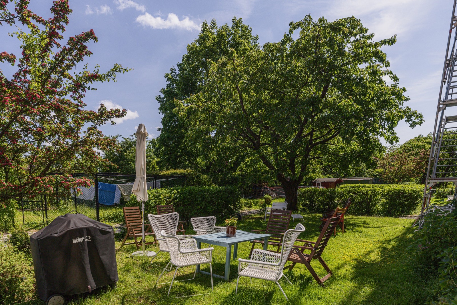 Felles grønn og frodig bakgård. Galleribilde