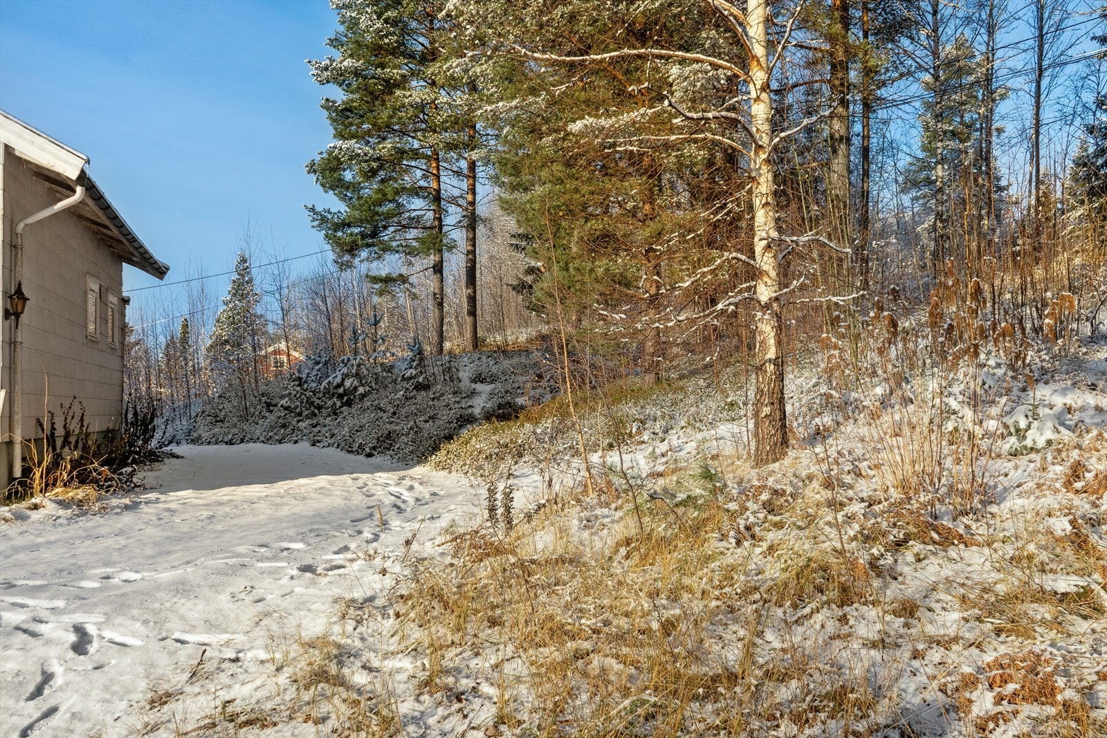 Eiendommen grenser til skogholt som er regulert til friområde og med en sti som tar deg til Skrivervegen og Vardåsvegen. Galleribilde