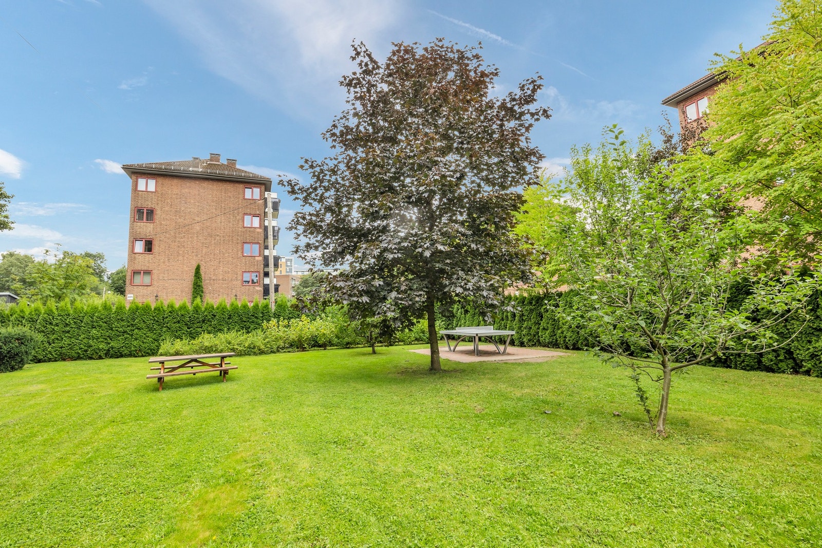 - Meget attraktiv beliggenhet i et populært borettslag - Galleribilde