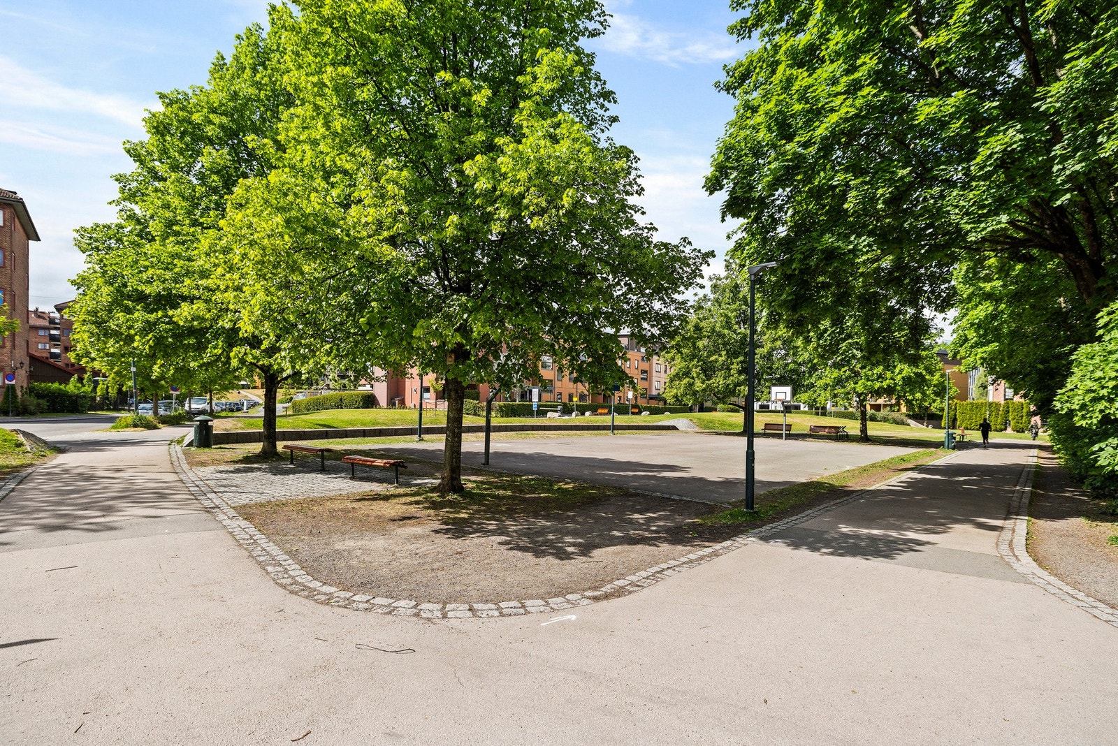 - Nærområde - Galleribilde