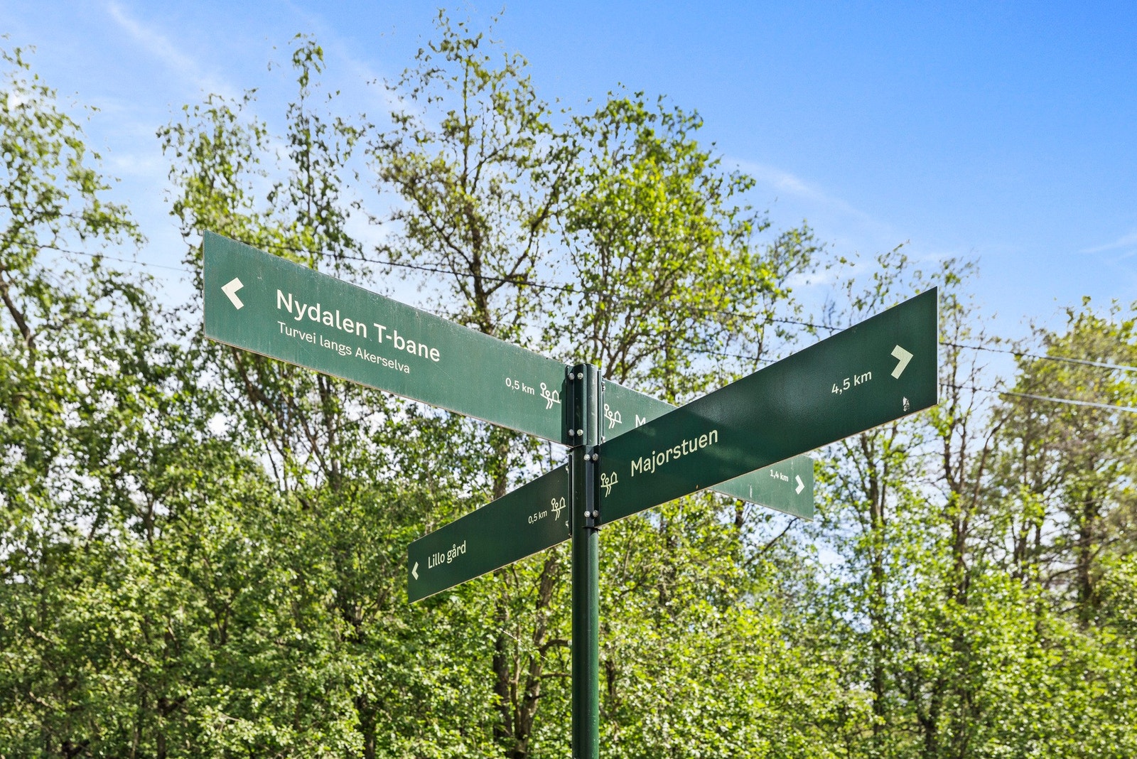 - Kort vei til "alt" - Galleribilde