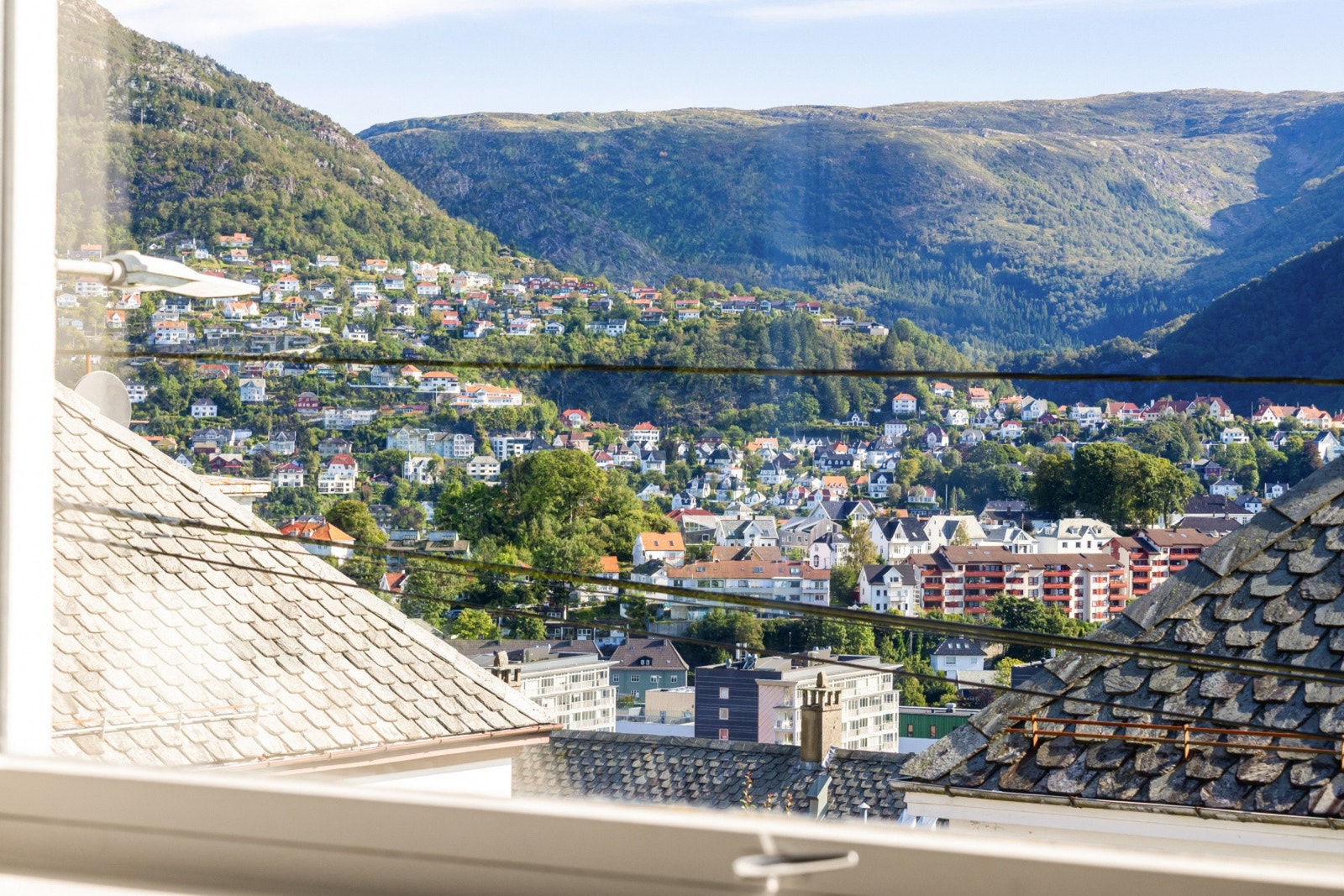 Utsikt fra stuevindu. Galleribilde