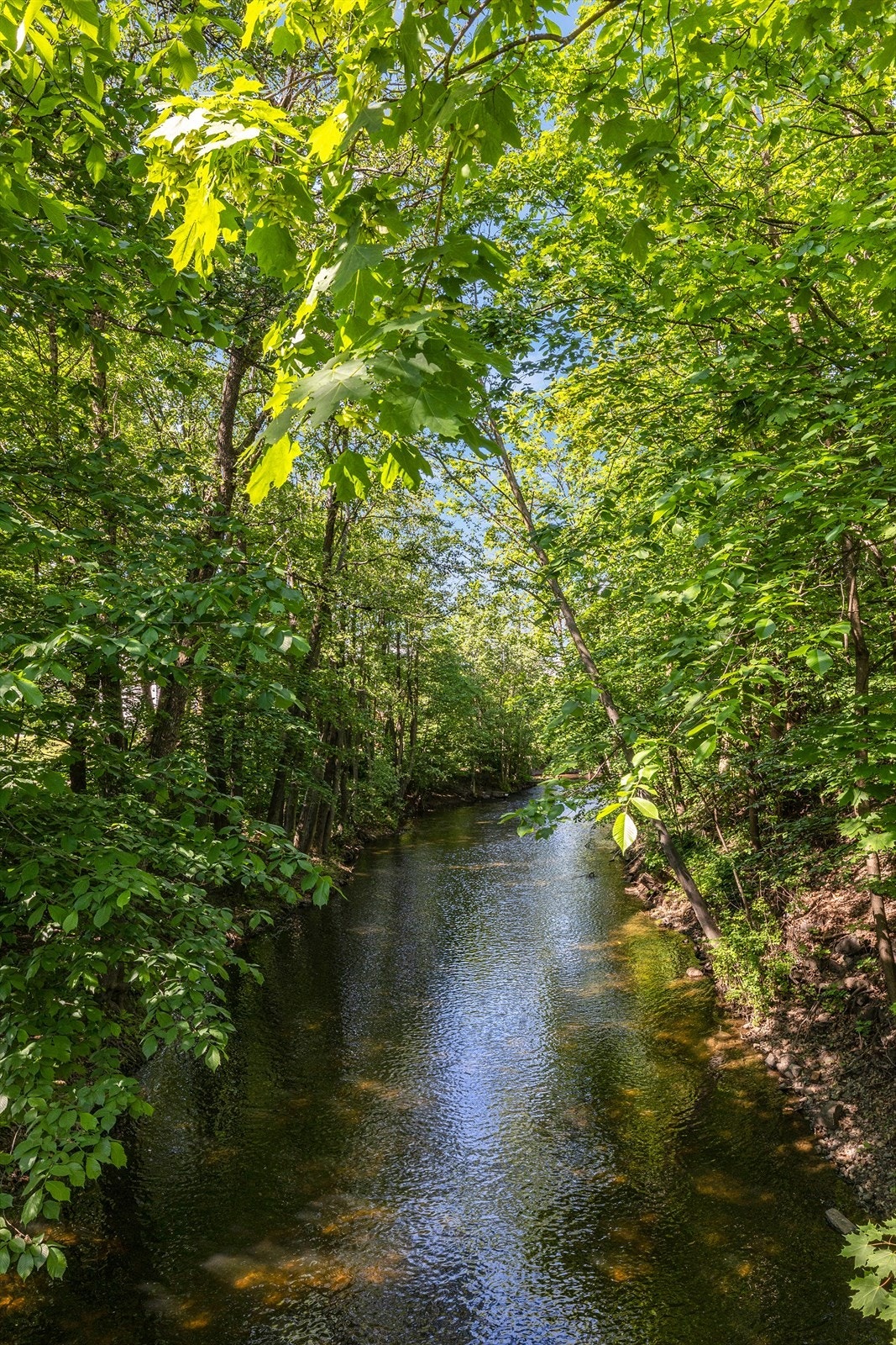 En vandretur langs elva er som å forsvinne inn i en liten eventyrverden fylt med ro, fuglekvitter og mange små og store skatter underveis. Galleribilde