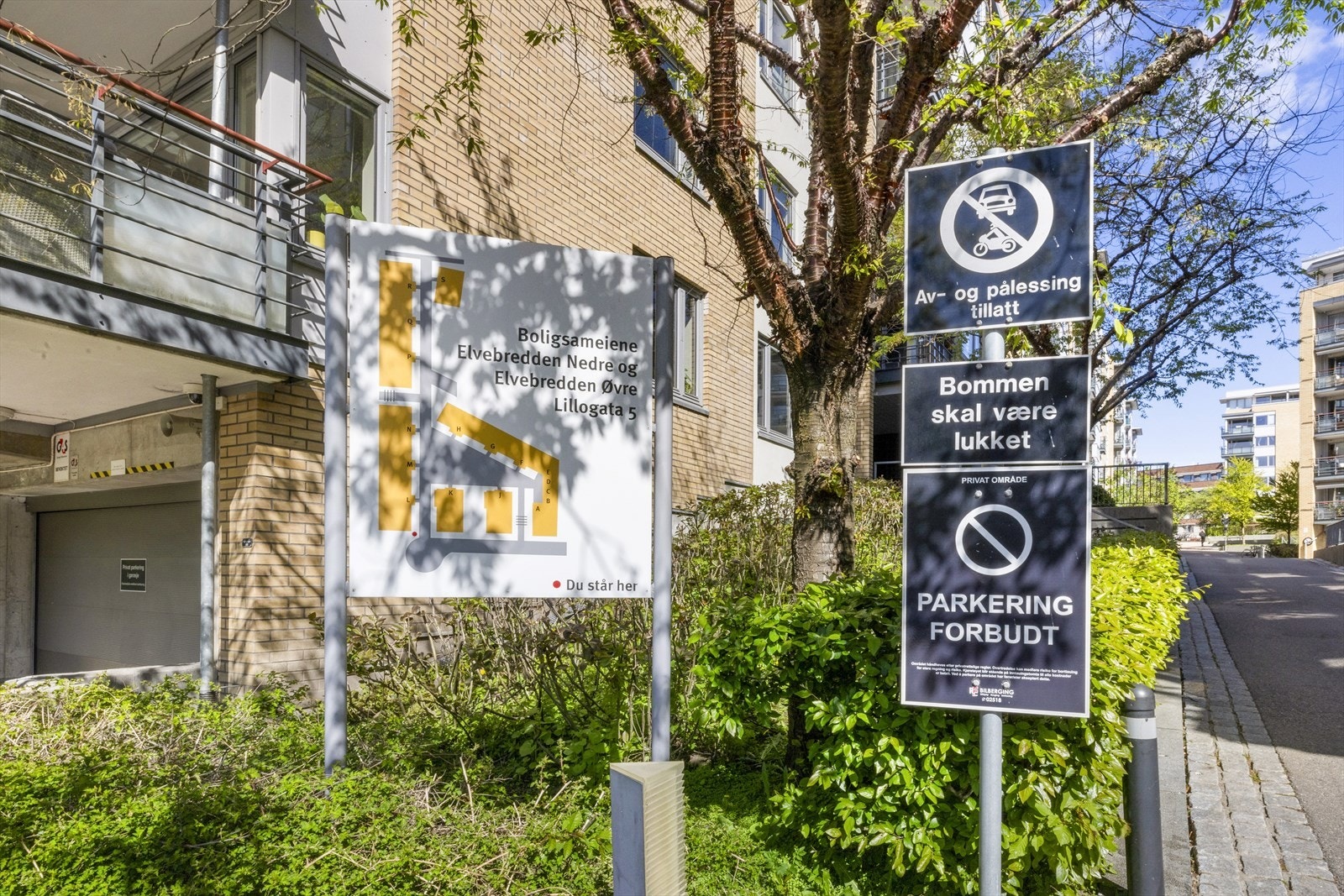 Elvebredden Nedre Sameiet - Sameiet består av 210 seksjoner. Galleribilde