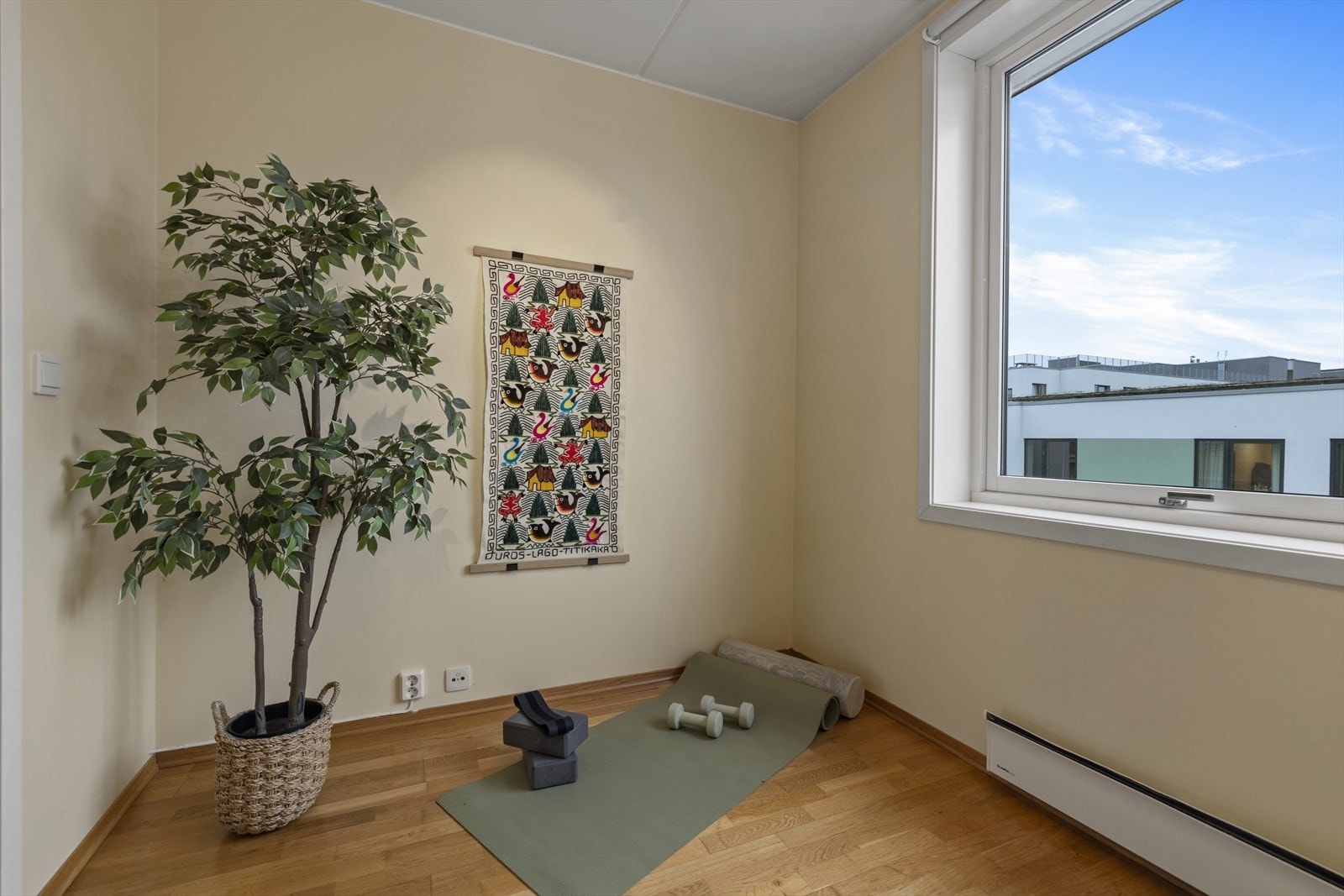 Rommet har også en hyggelig utsikt. Galleribilde