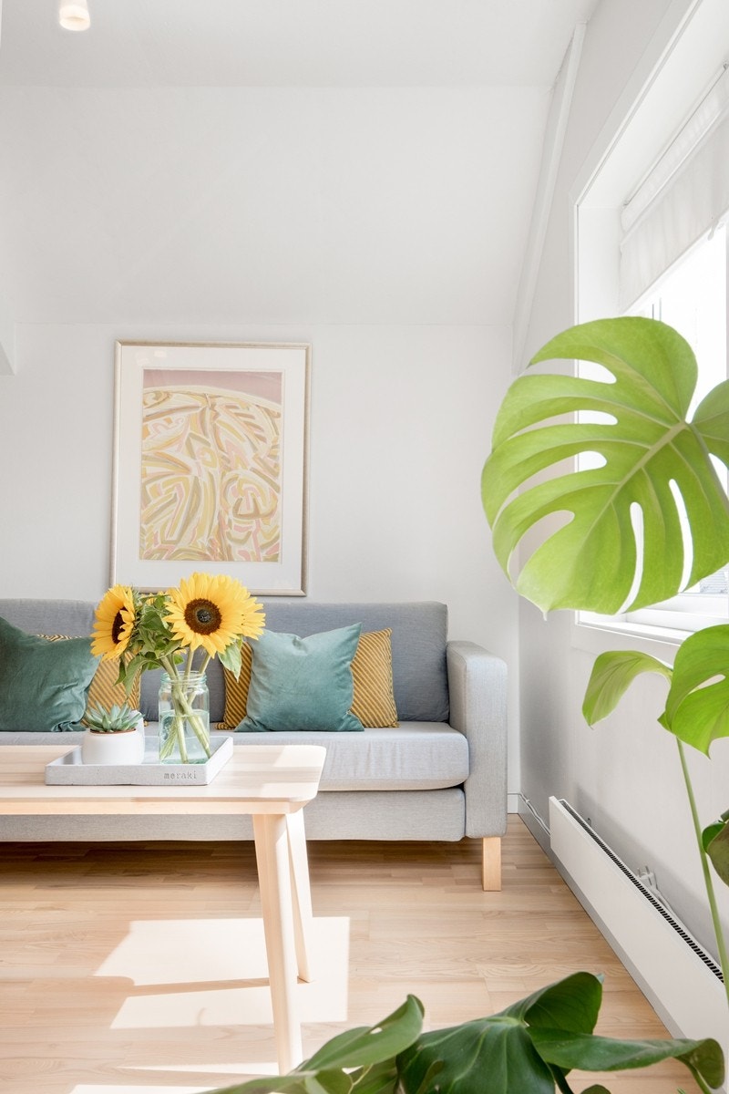 Lys og hyggelig stue med gode lysforhold. Galleribilde