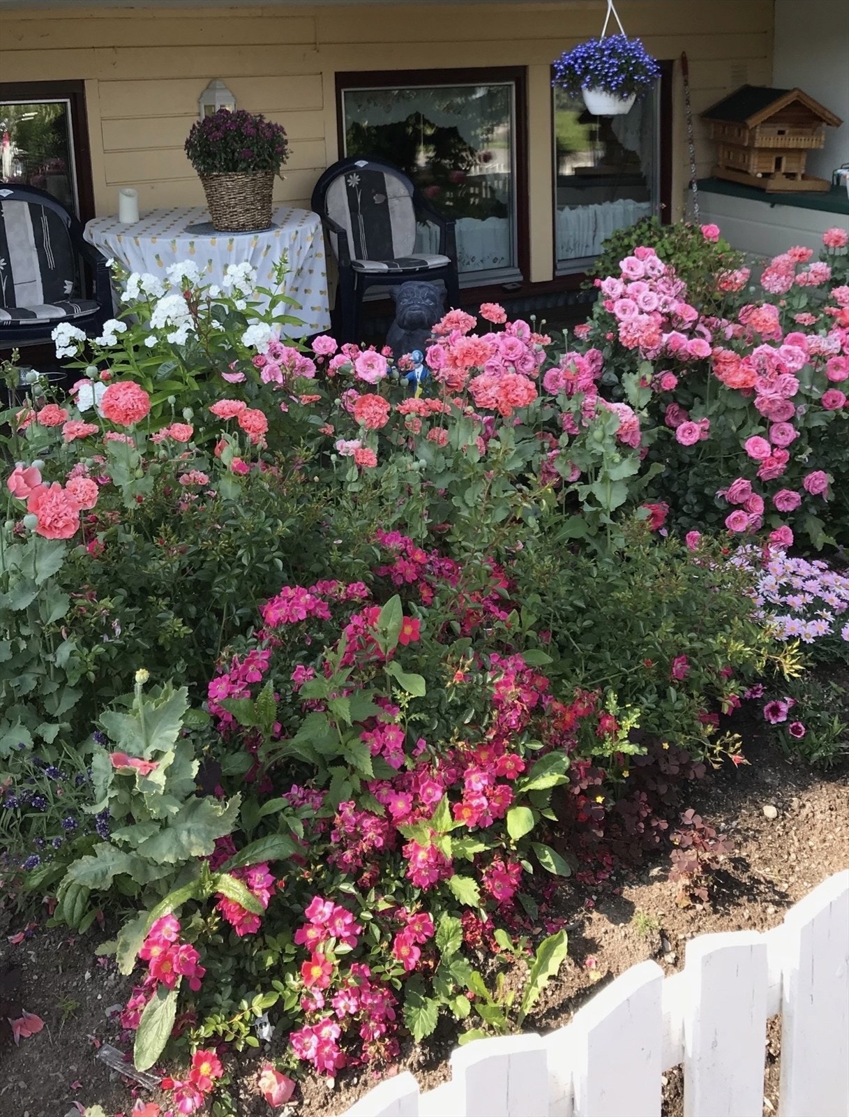 Sommerbilde tatt av selger. Galleribilde