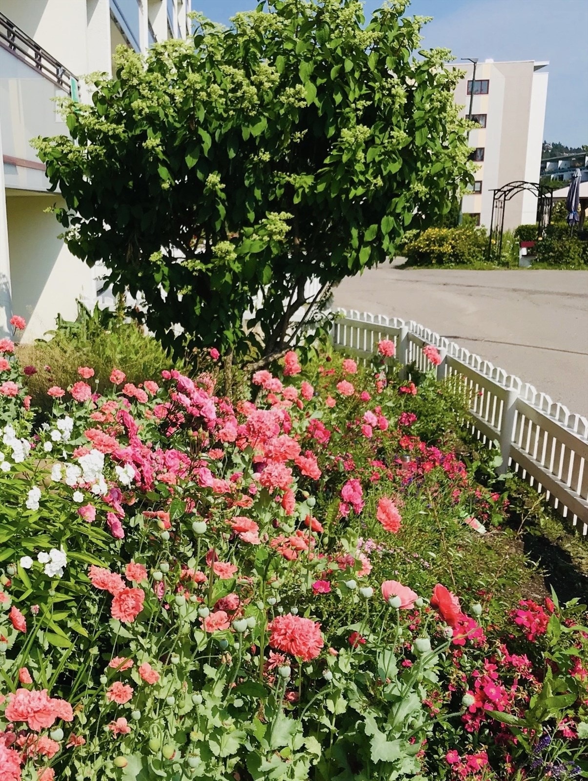 En blomstrende oase på forsiden av boligen (sommerbilde tatt av selger). Galleribilde