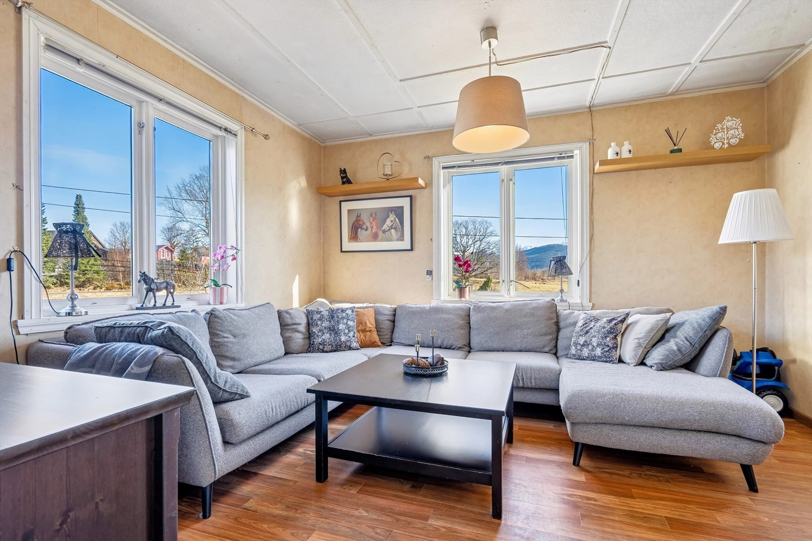 Dagligstuen har to store vinduer som slipper godt med lys inn i rommet Galleribilde