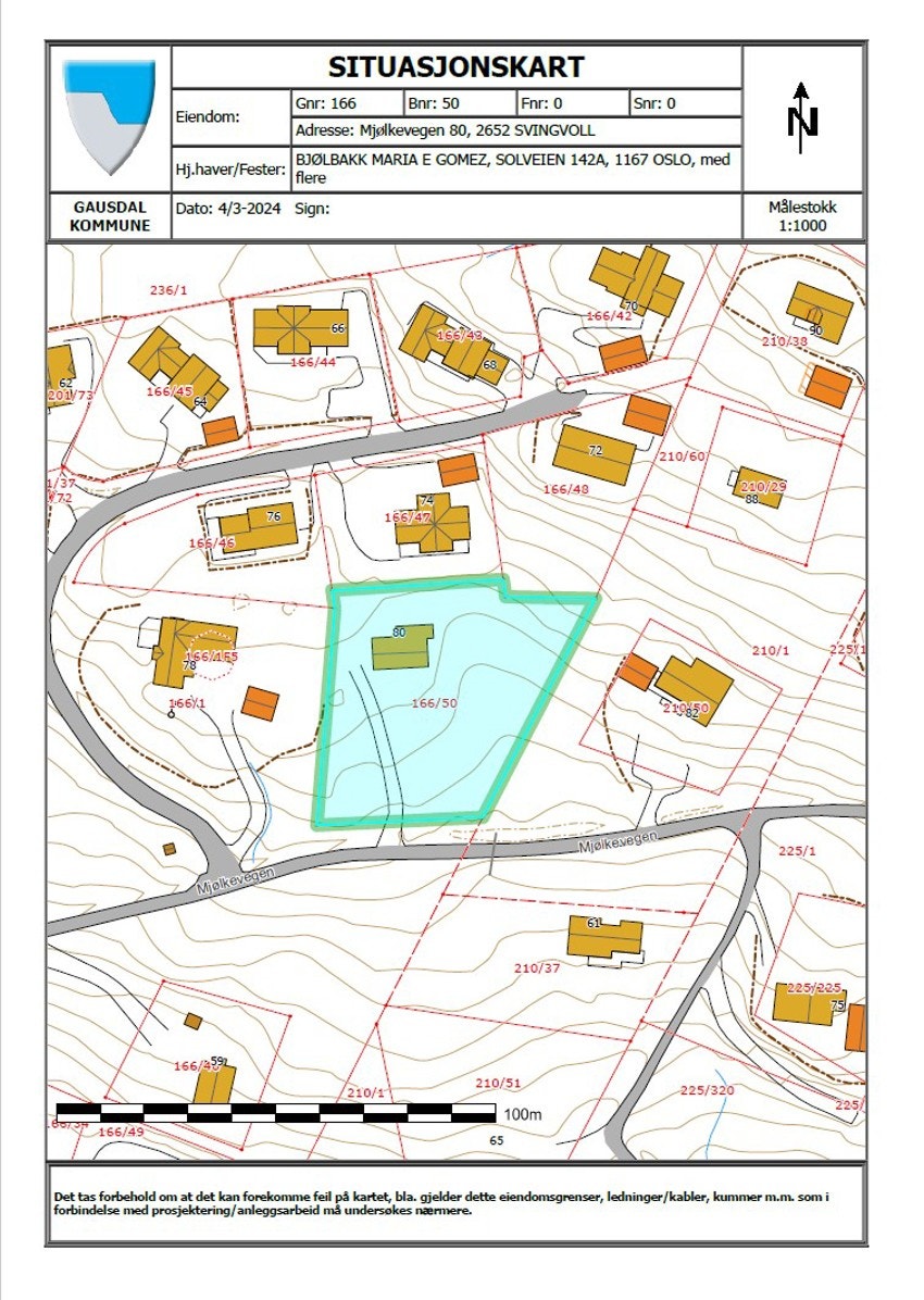 Situasjonskart Galleribilde