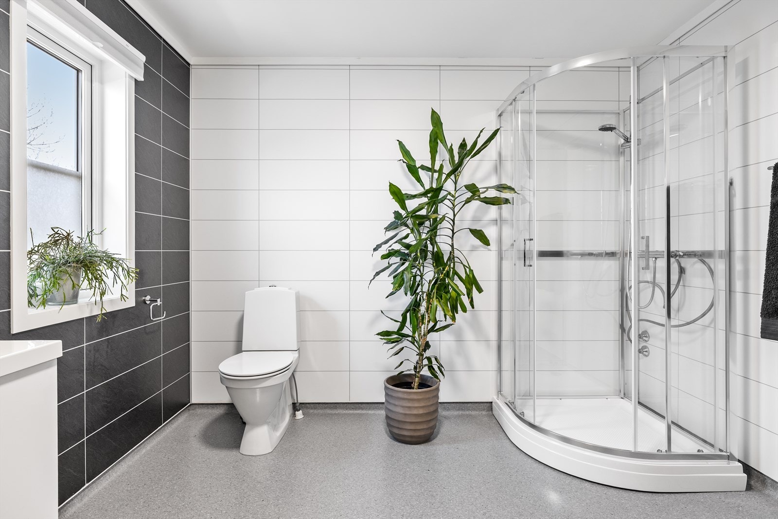 Dagens eier starter gjerne dagen her med litt Yoga! Galleribilde