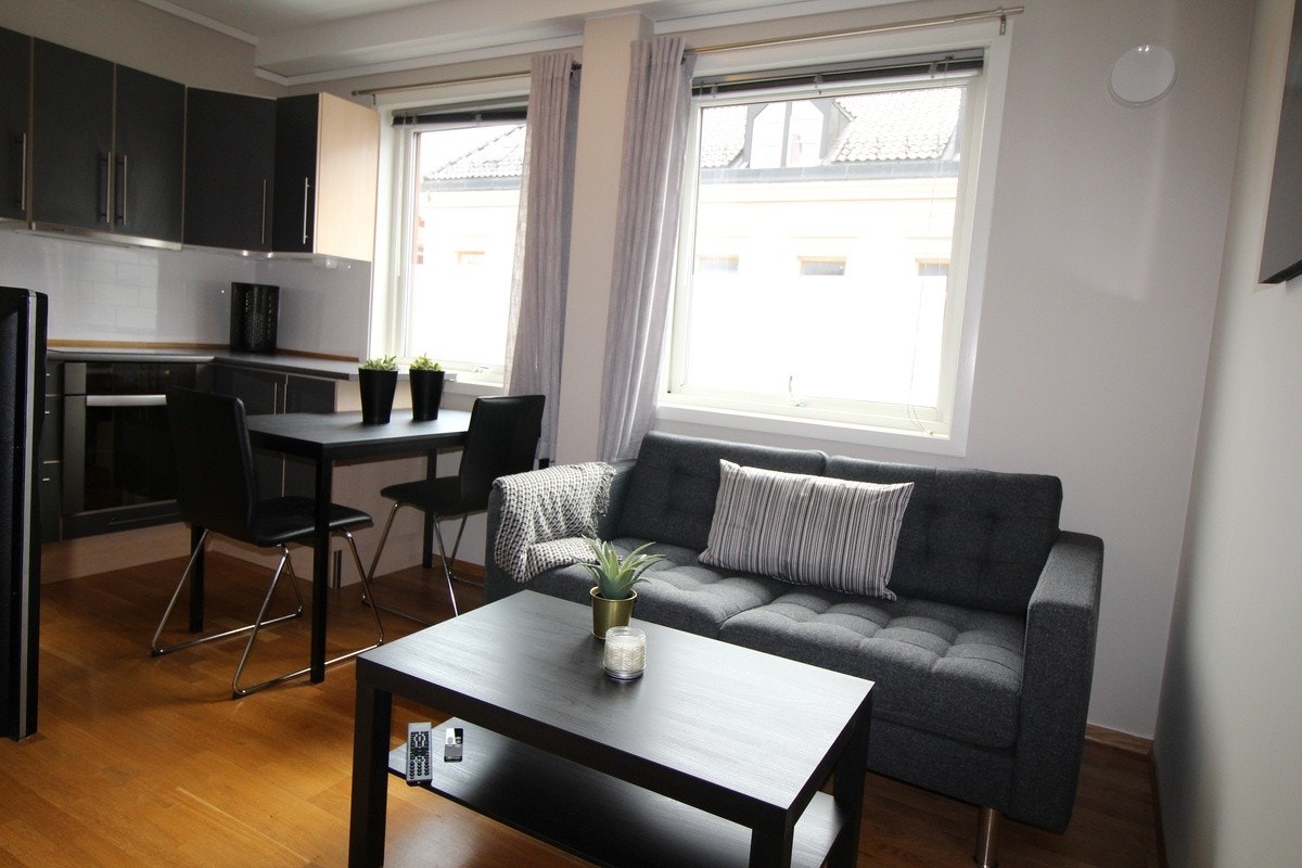 Stue/kjøkken med sofa og spiseplass Galleribilde