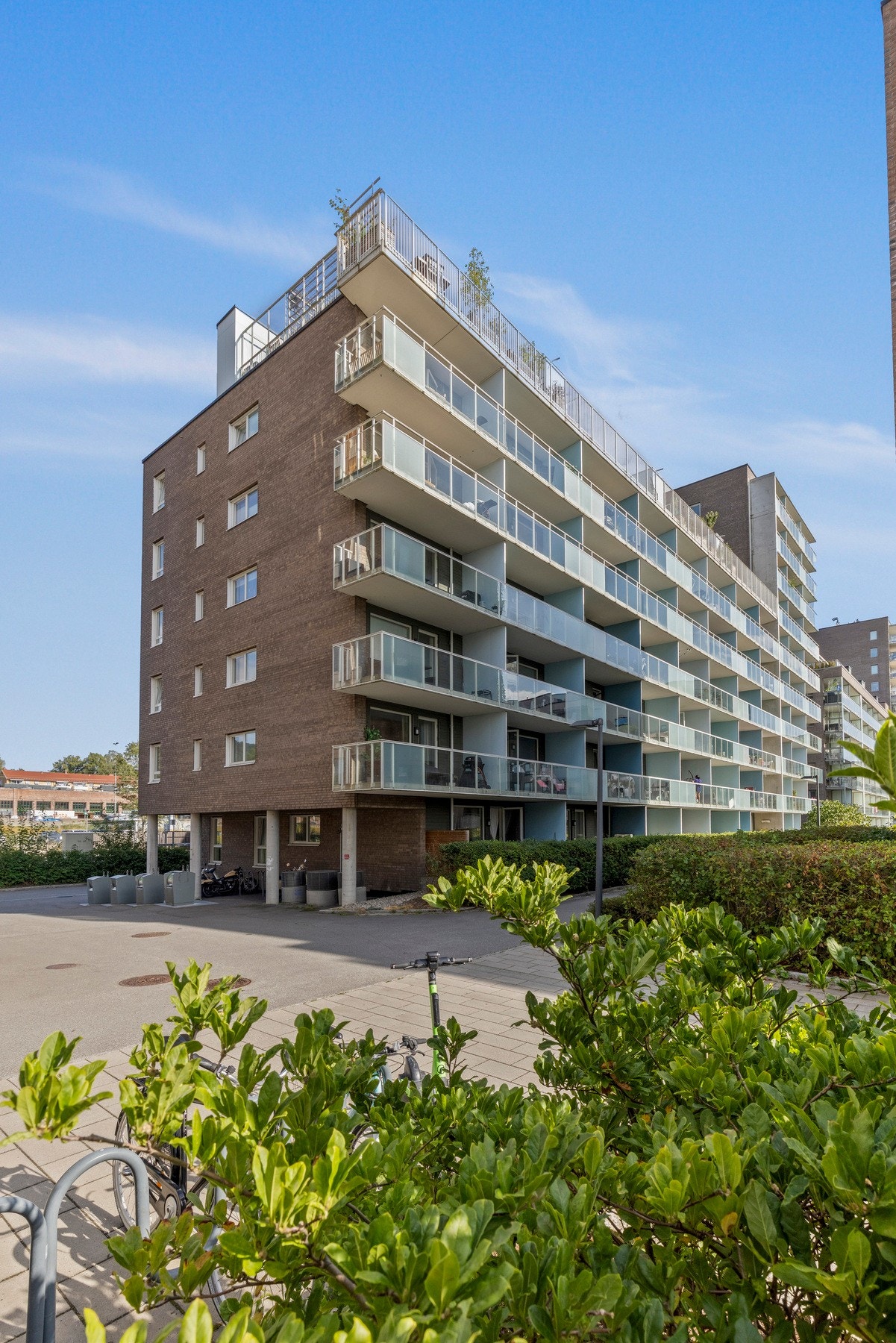 Dyrehold er tillatt så lenge det ikke er til sjenanse for øvrige beboere Galleribilde