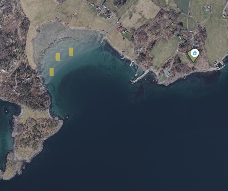 Sandstrand Galleribilde