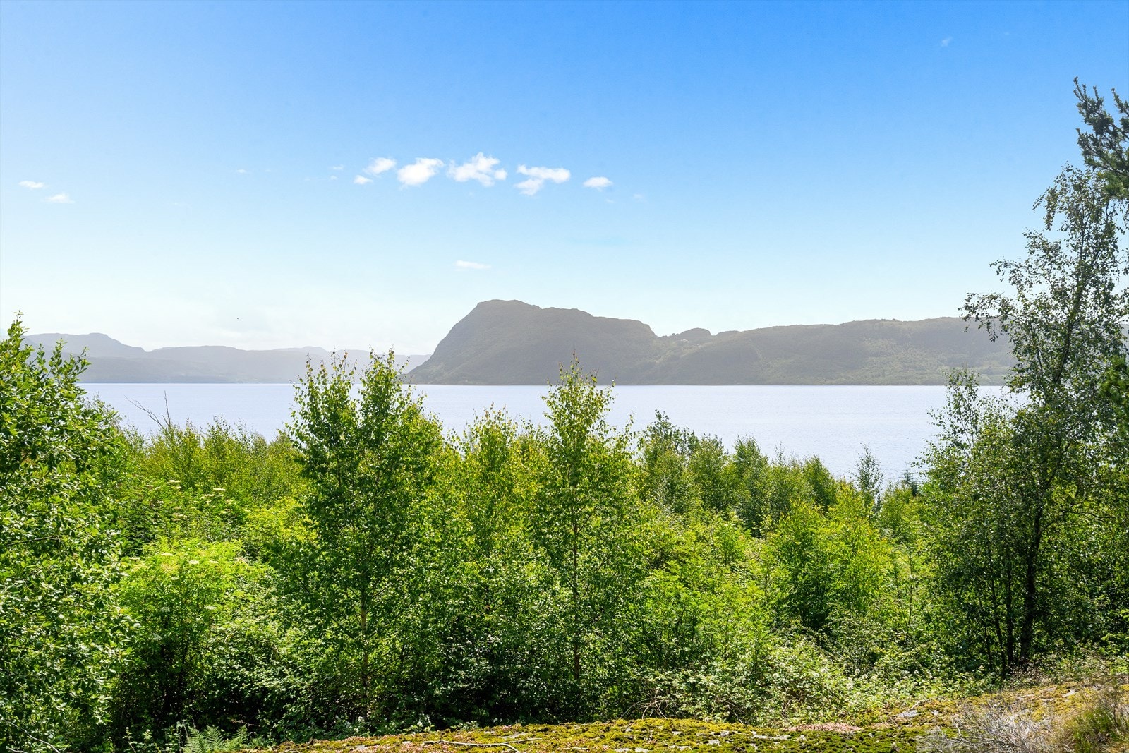 Utsikt fra hytta. Galleribilde