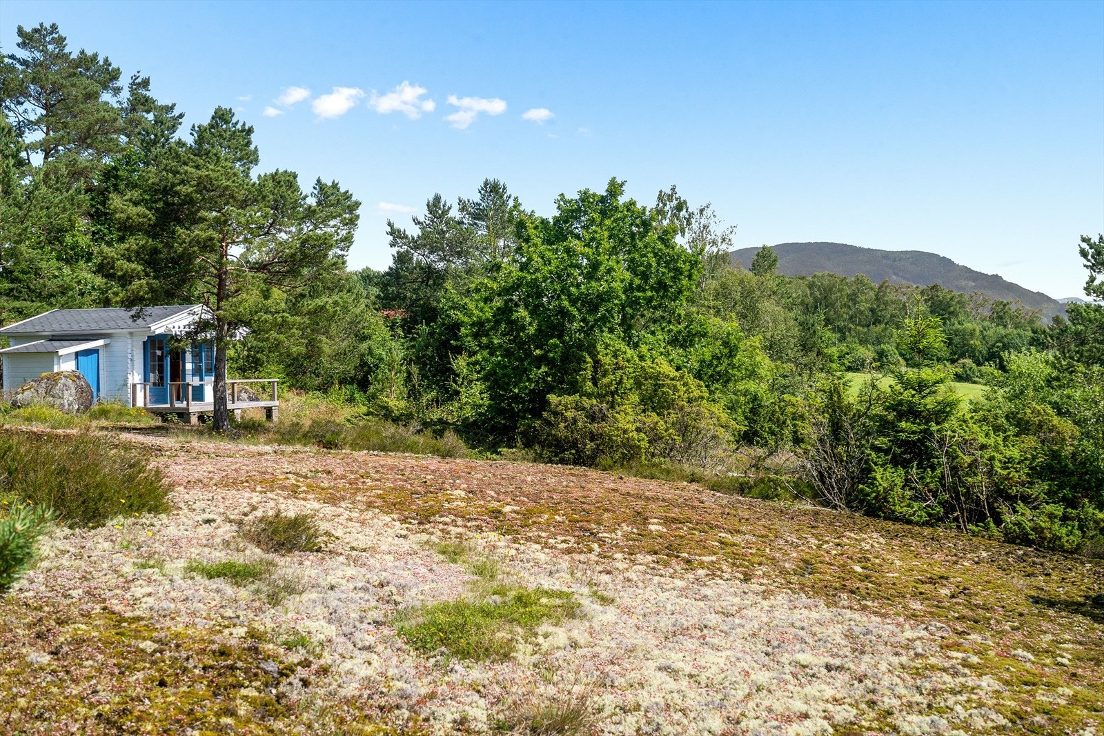 Utsiden av hytta. Hytta er ca. 16,5m2 bra. Ble ikke målt etter dagens arealregler. Galleribilde