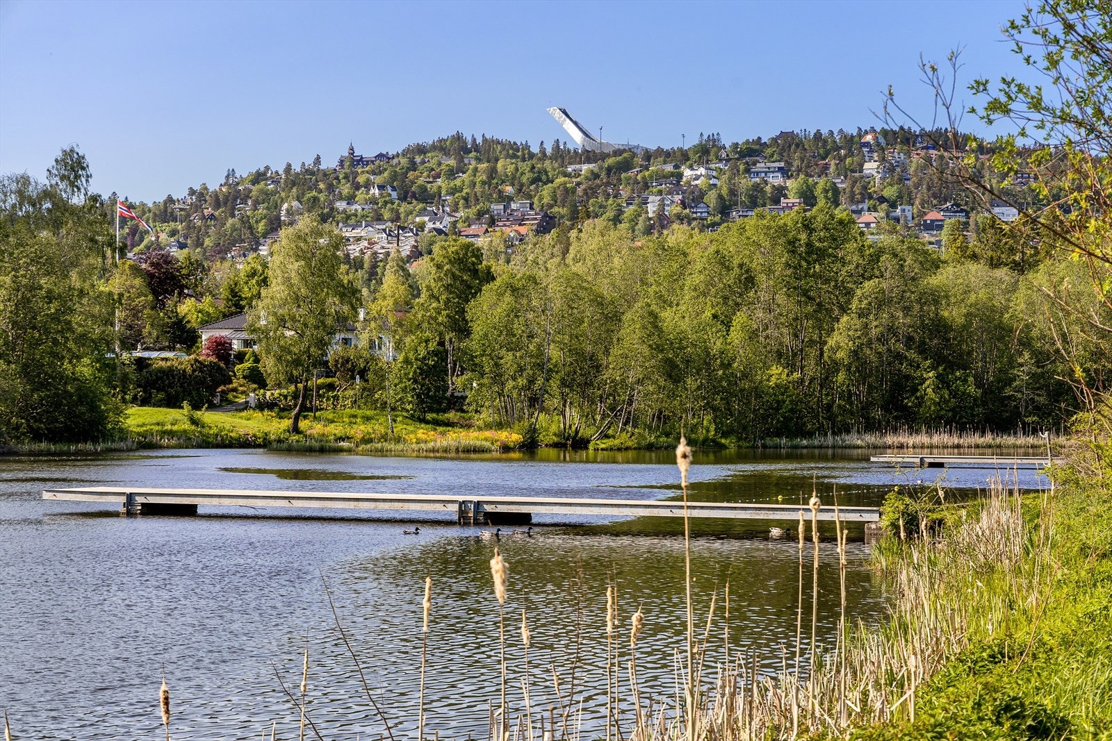 Områdebilde. Galleribilde