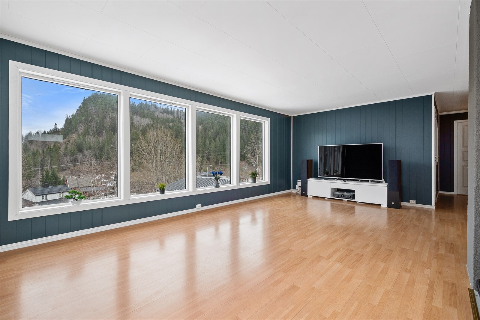 Utsikt fra stua! Galleribilde