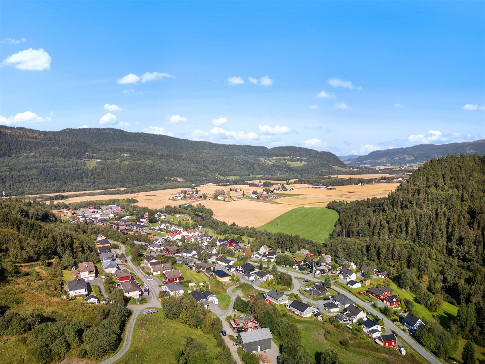 Velkommen til en trivelig visning! Galleribilde