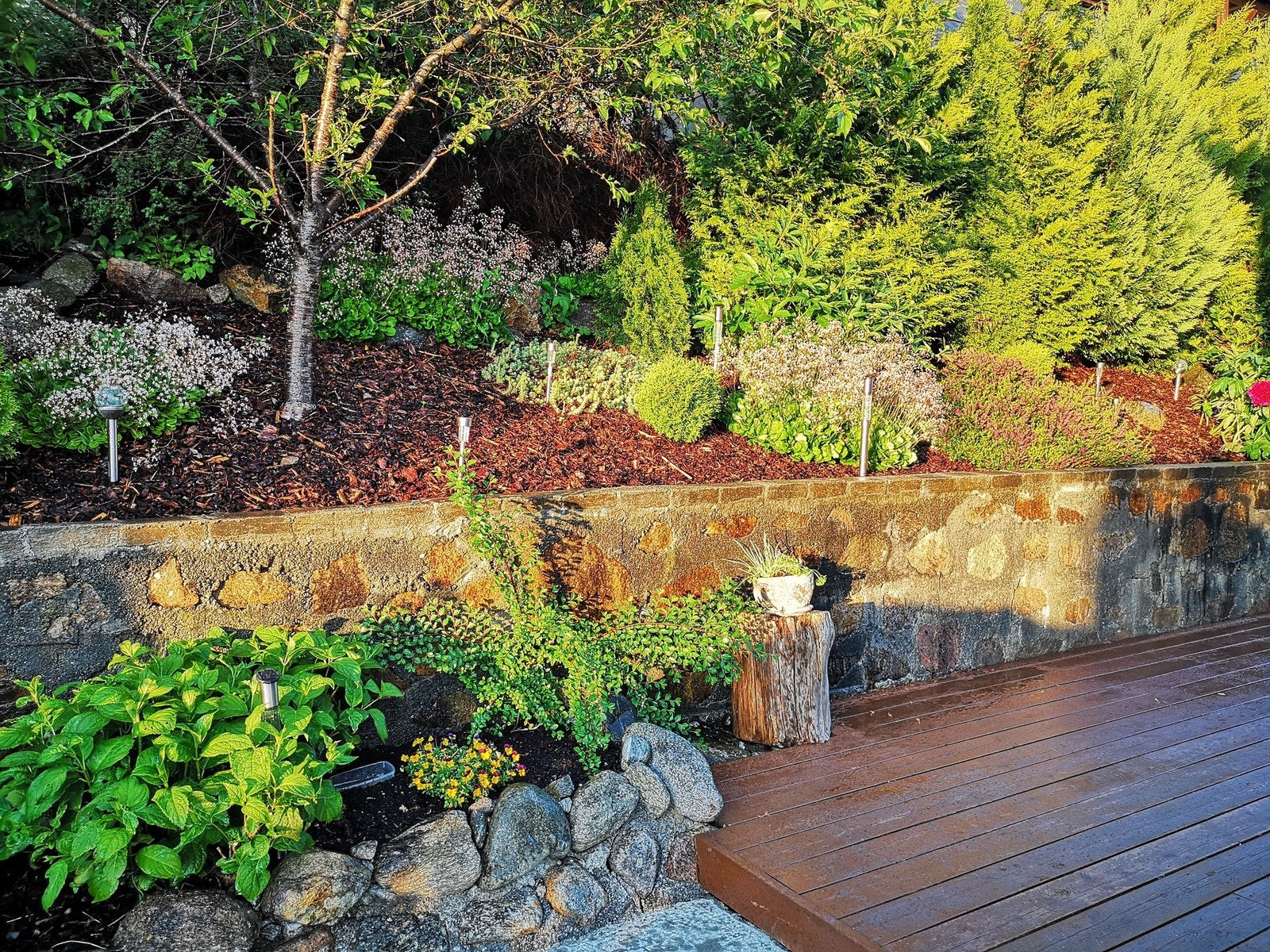 Flott beplantning i bed. Galleribilde