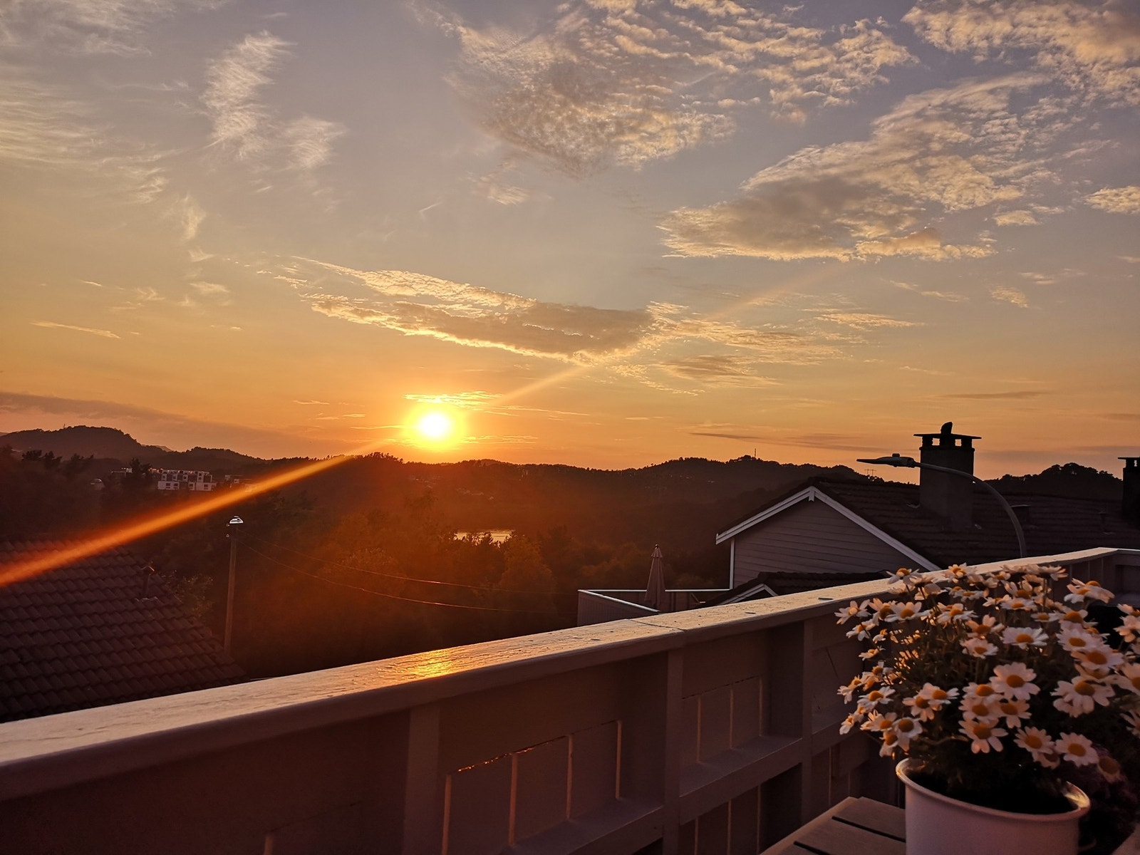 Nydelig også på kveldstid. Galleribilde