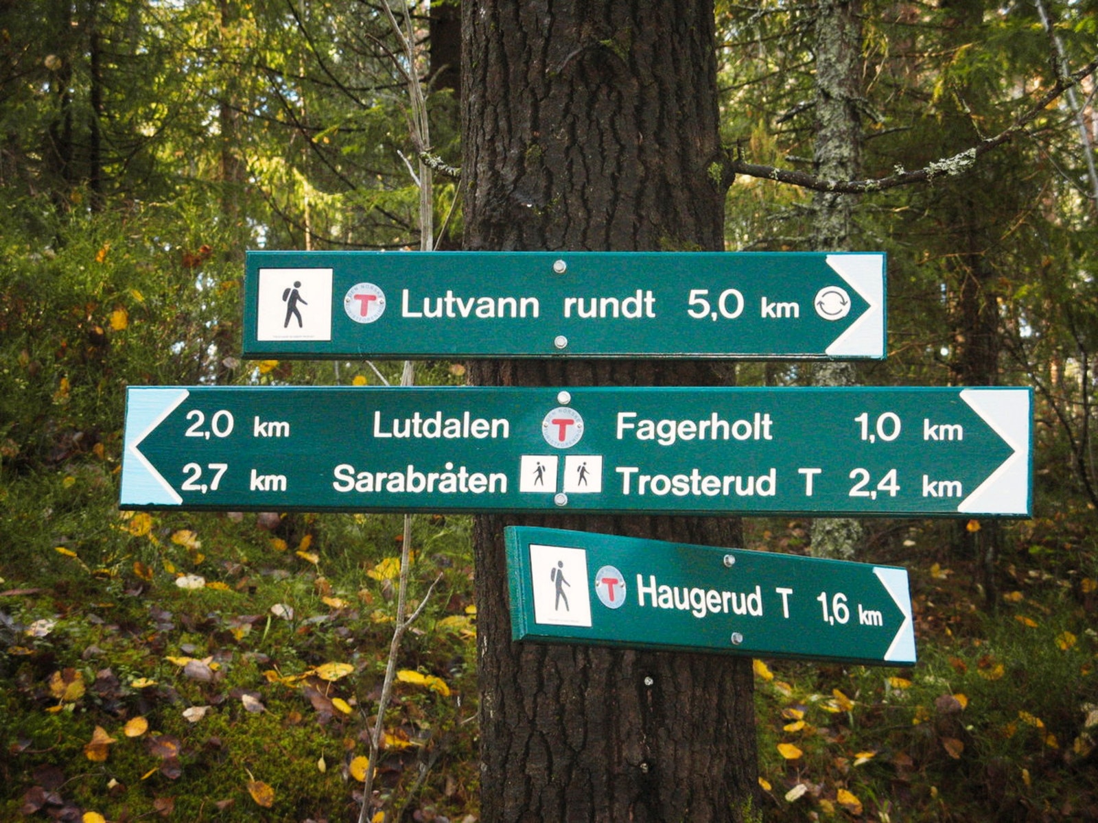 Østmarka byr på et mylder av stier, turveier og vann Galleribilde