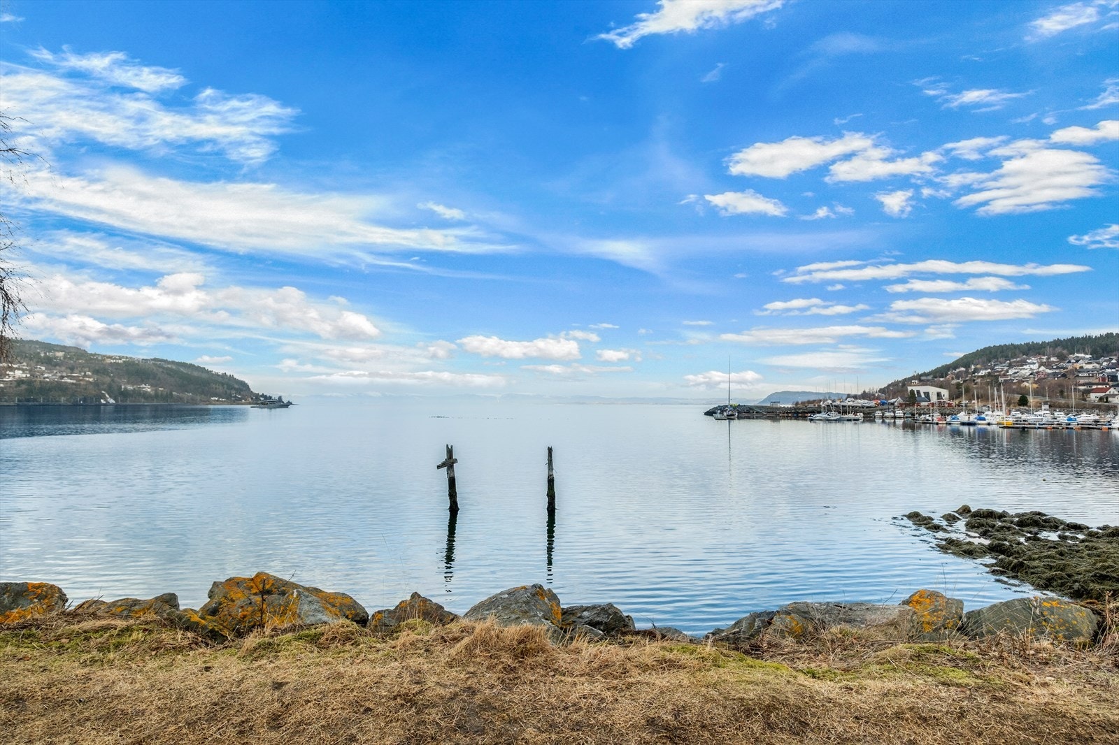 Flott område nært sjøkanten Galleribilde