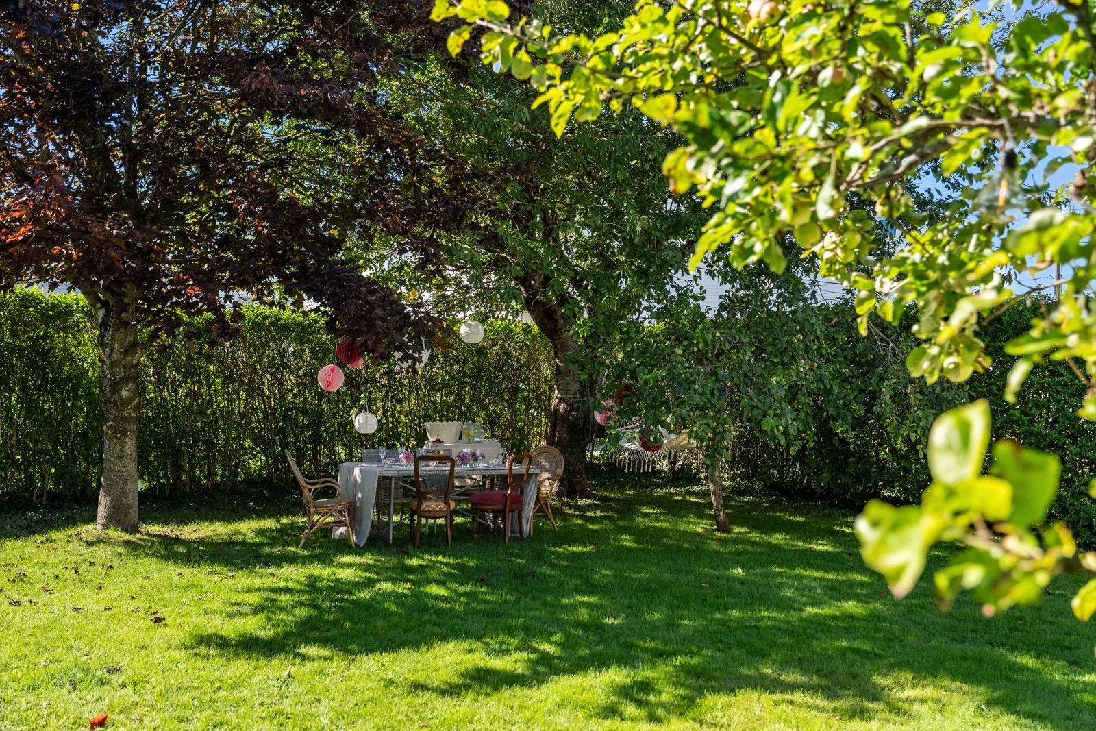 Sjarmerende uteareal m/ulike beplantninger Galleribilde