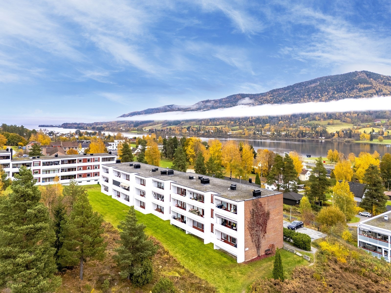 Velkommen til Elgtråkket 2A! Galleribilde