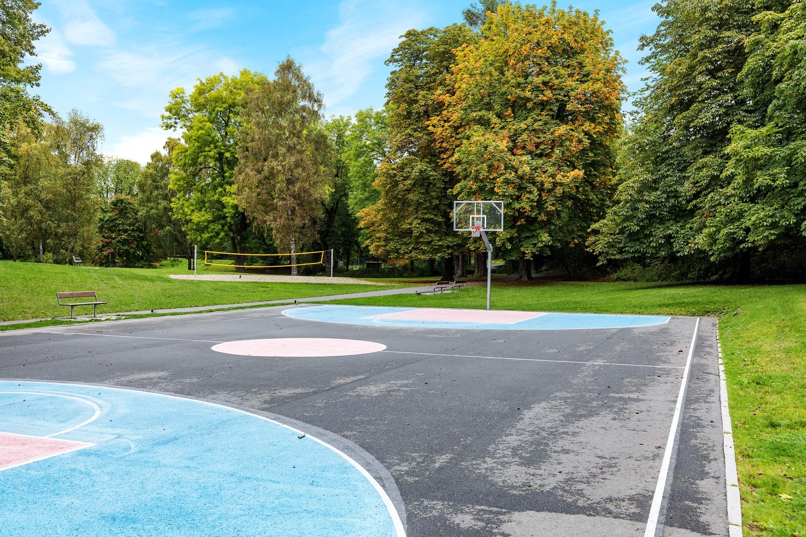 Nærområde. Galleribilde