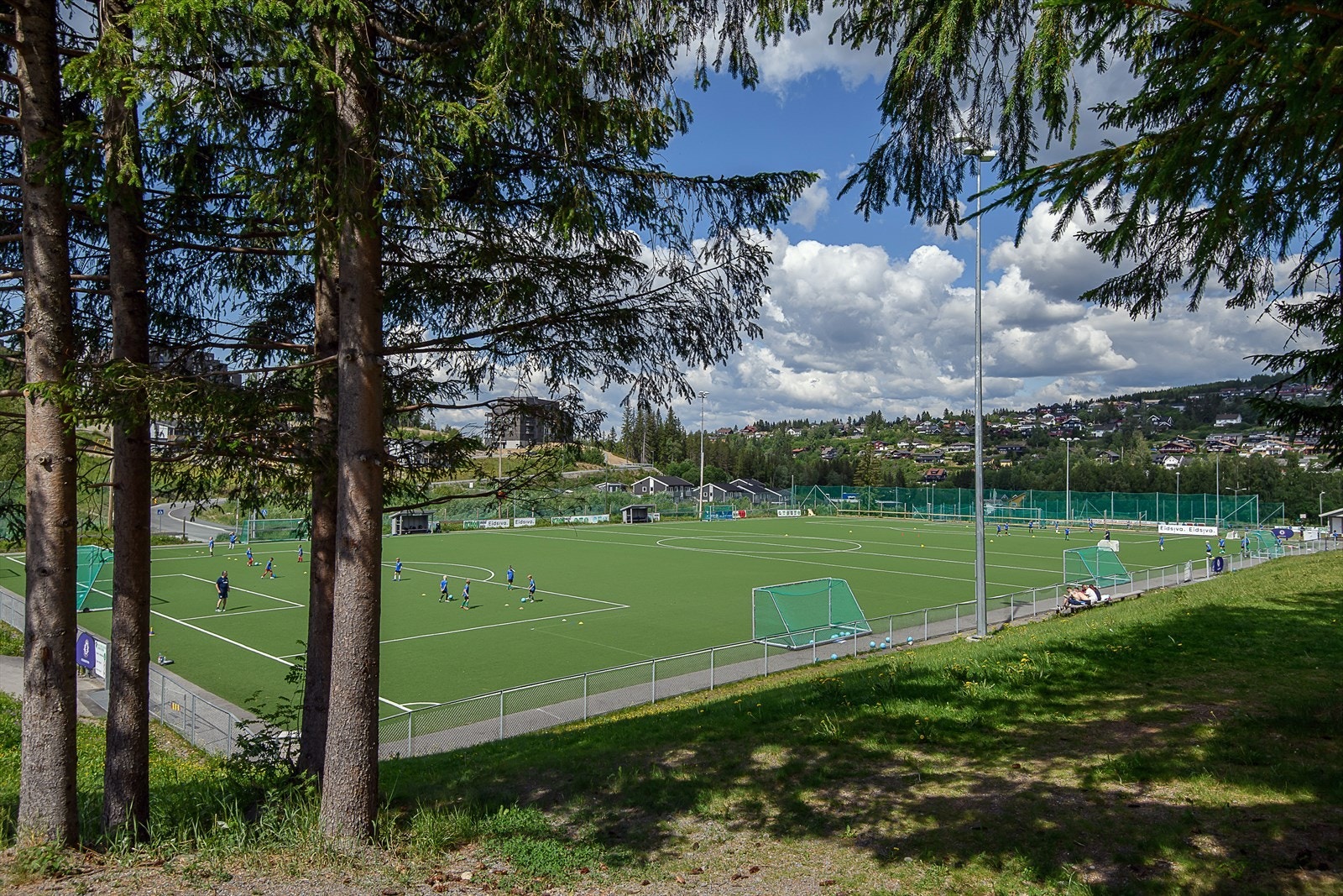 Røyslimoen kunstgressbaner ligger kun få minutters gange unna boligen. Galleribilde