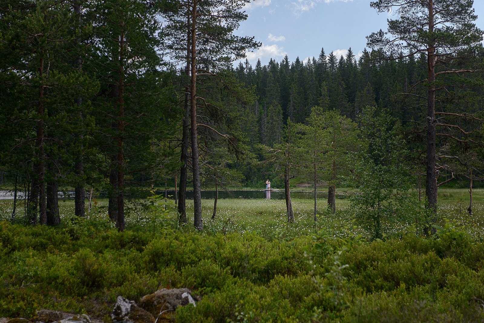 Skog og mark er en umiddelbar nabo, perfekt for rekreasjon. Her fra Røyslitjernet. Galleribilde