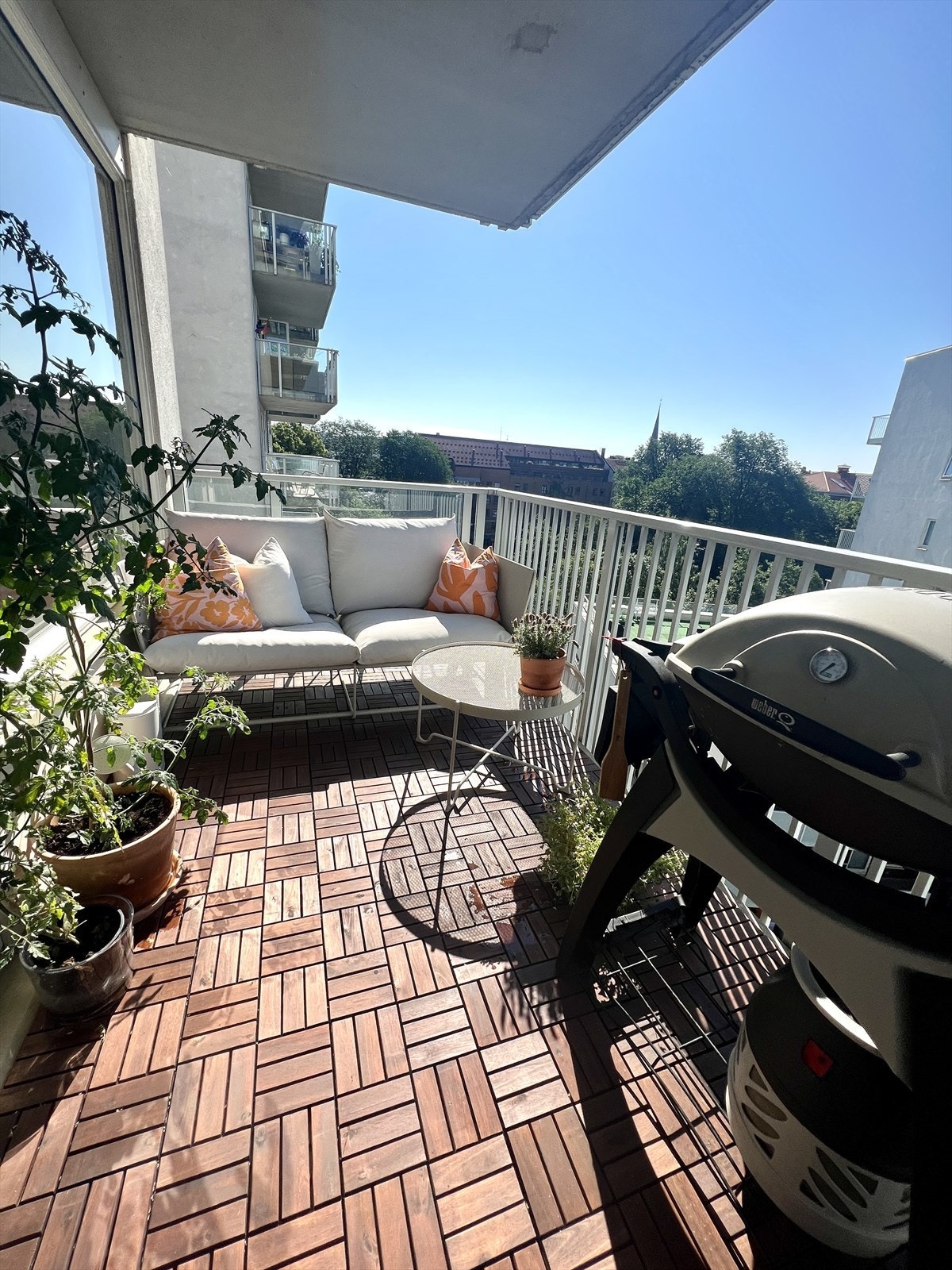 Selgers sommerbilde. Galleribilde