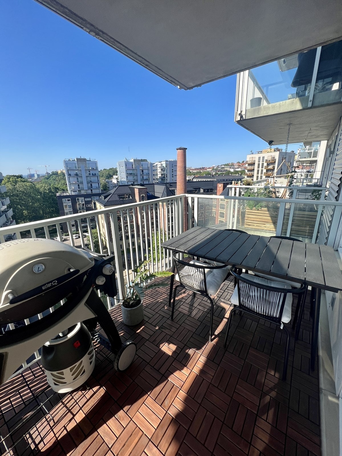 Selgers sommerbilde. Galleribilde