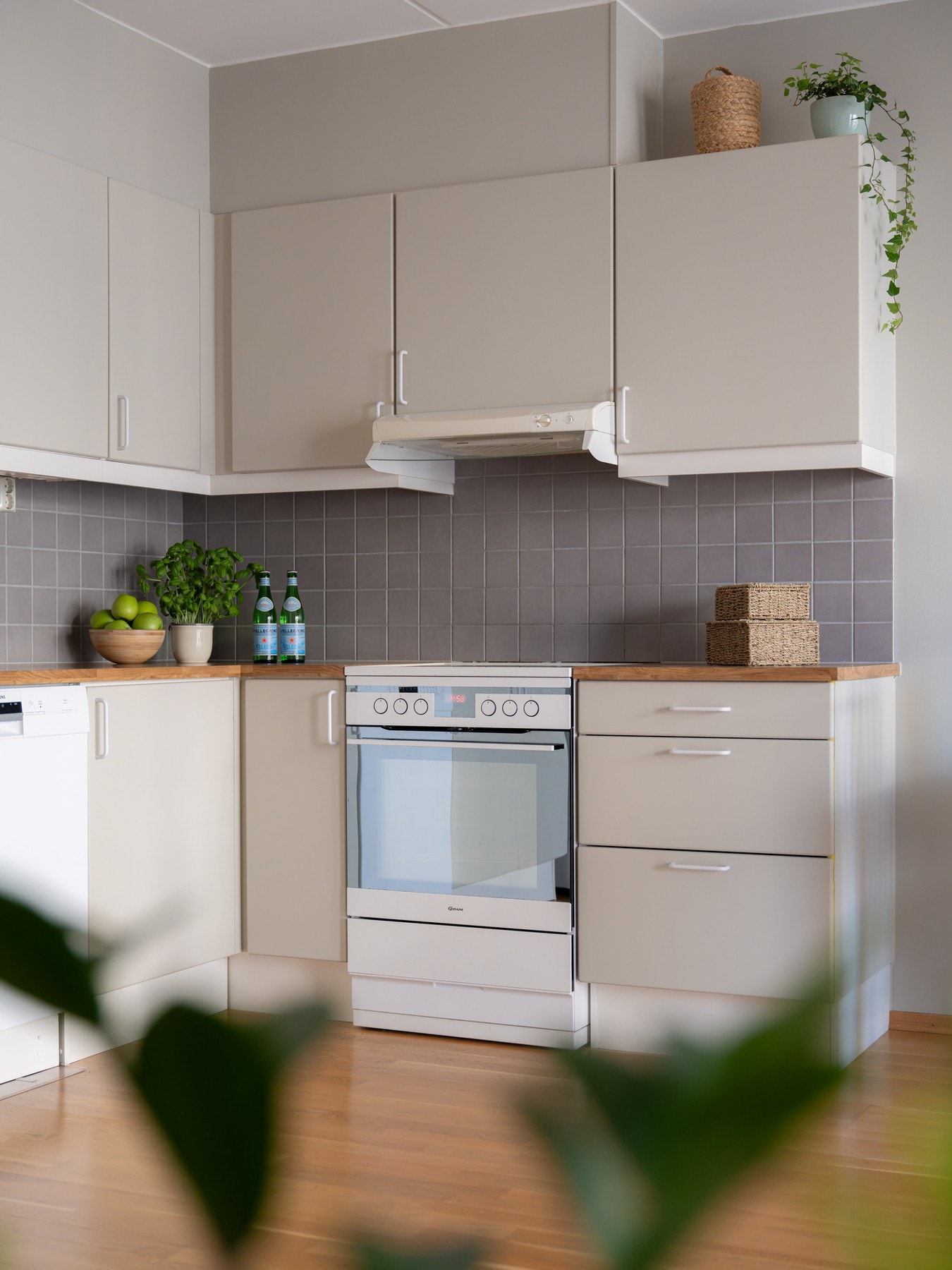 Oppvaskmaskinen medfølger. Galleribilde