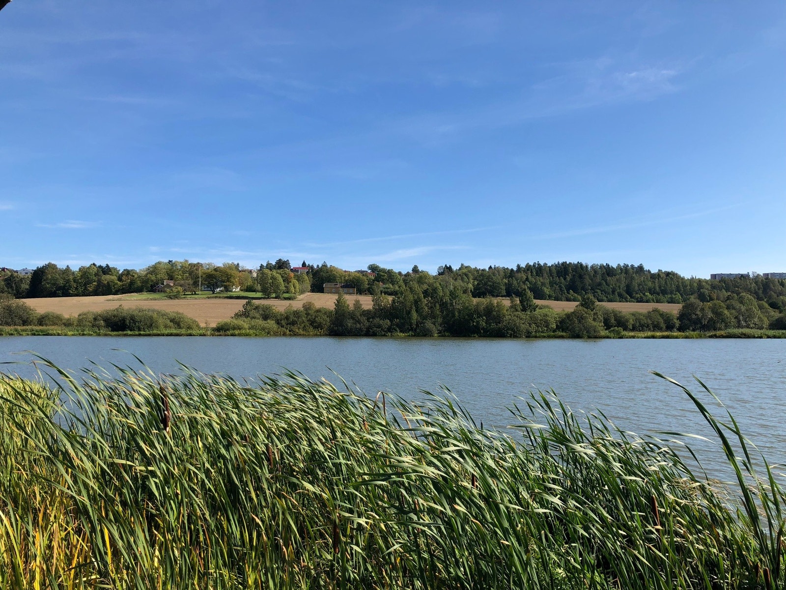Østensjøvannet er et av bydelens mest brukte tur- og rekreasjonsområder, og anbefales med sine flotte turstier og rike fugleliv, med over 200 forskjellige fuglearter Galleribilde