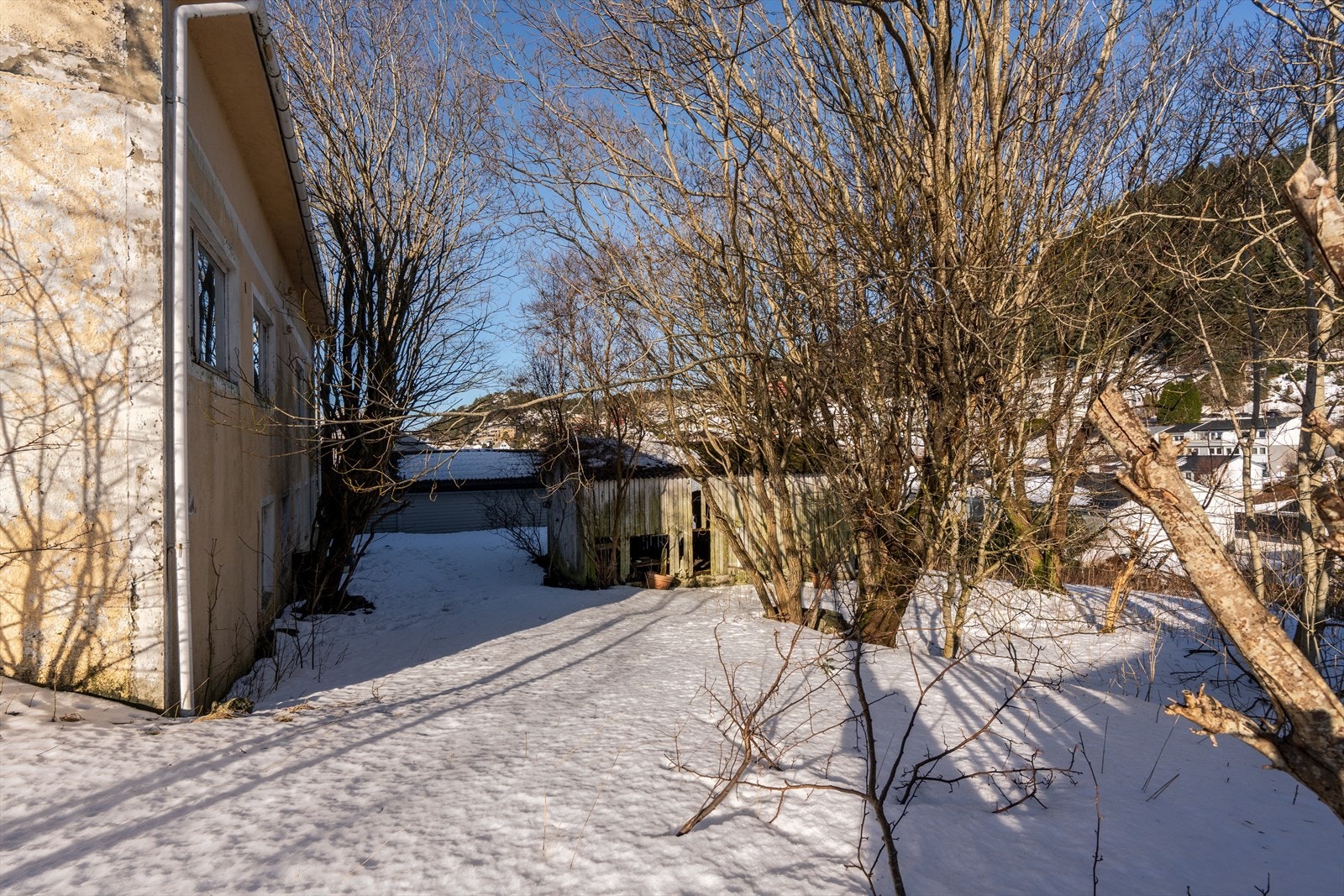 Kjekt område på baksiden av huset Galleribilde
