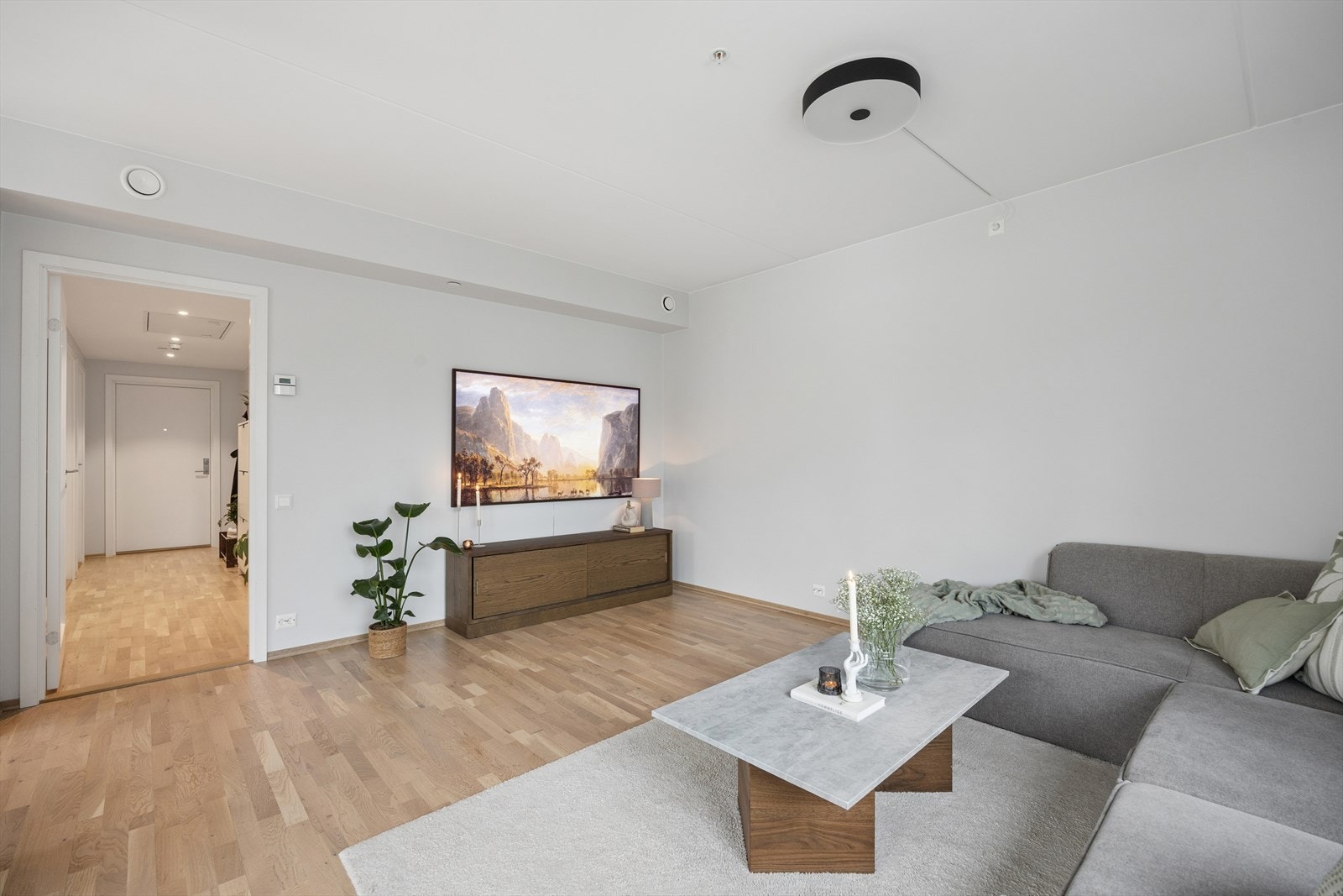 Det er god plass til en stor sofagruppe, TV og oppbevaringsmøbler Galleribilde