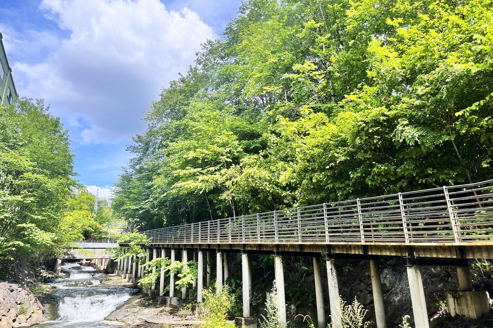 Langs Alnaelva går en flott tursti som inviterer til spaserturer, joggeturer eller rolige pauser ved elvebredden Galleribilde