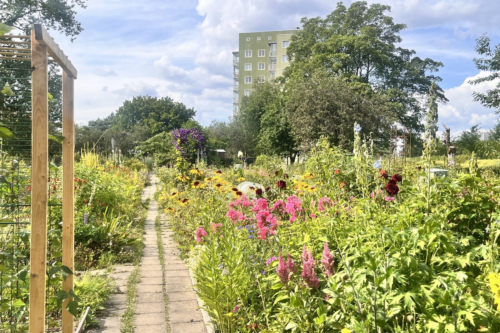 Parsellhagen ble etablert i 1982 og tilbyr totalt 31 parseller som fordeles etter venteliste Galleribilde
