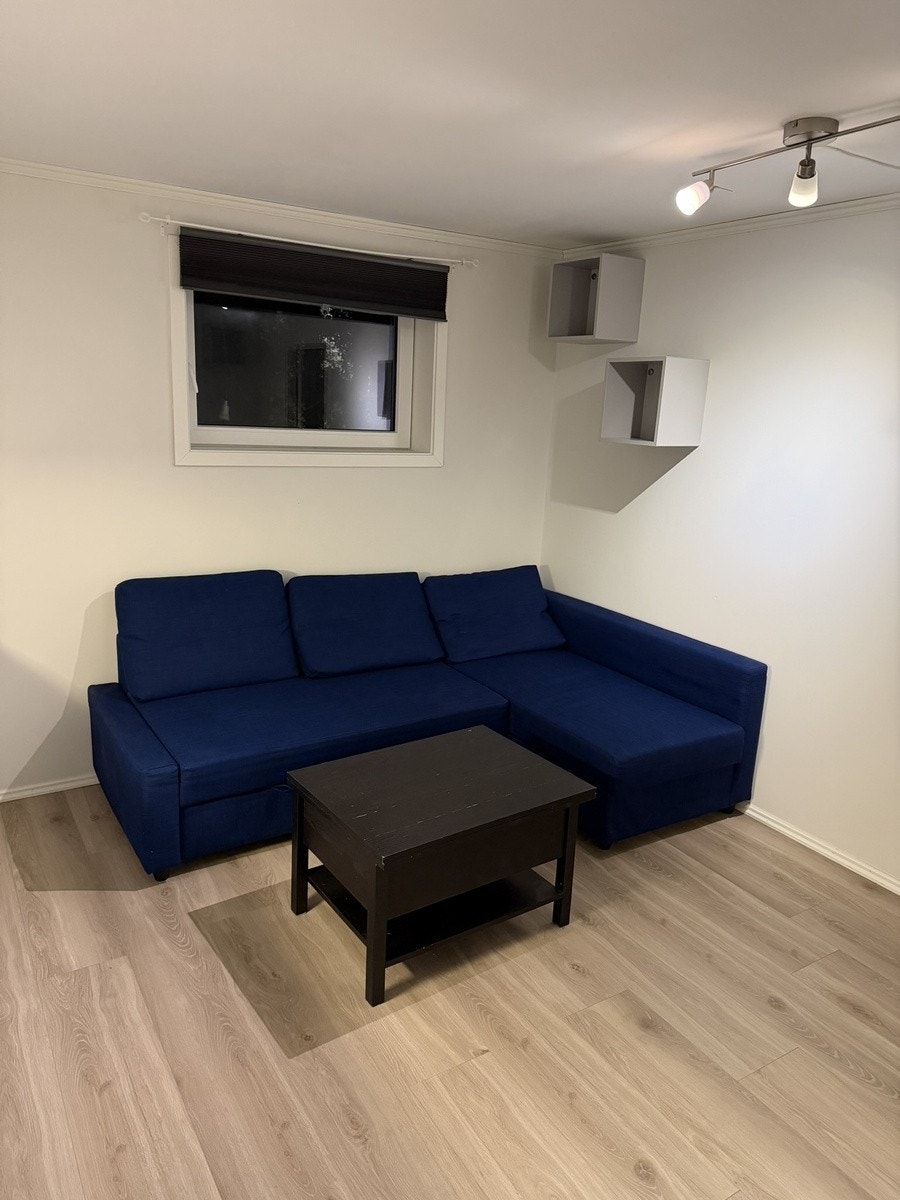 Stue med sofa Galleribilde