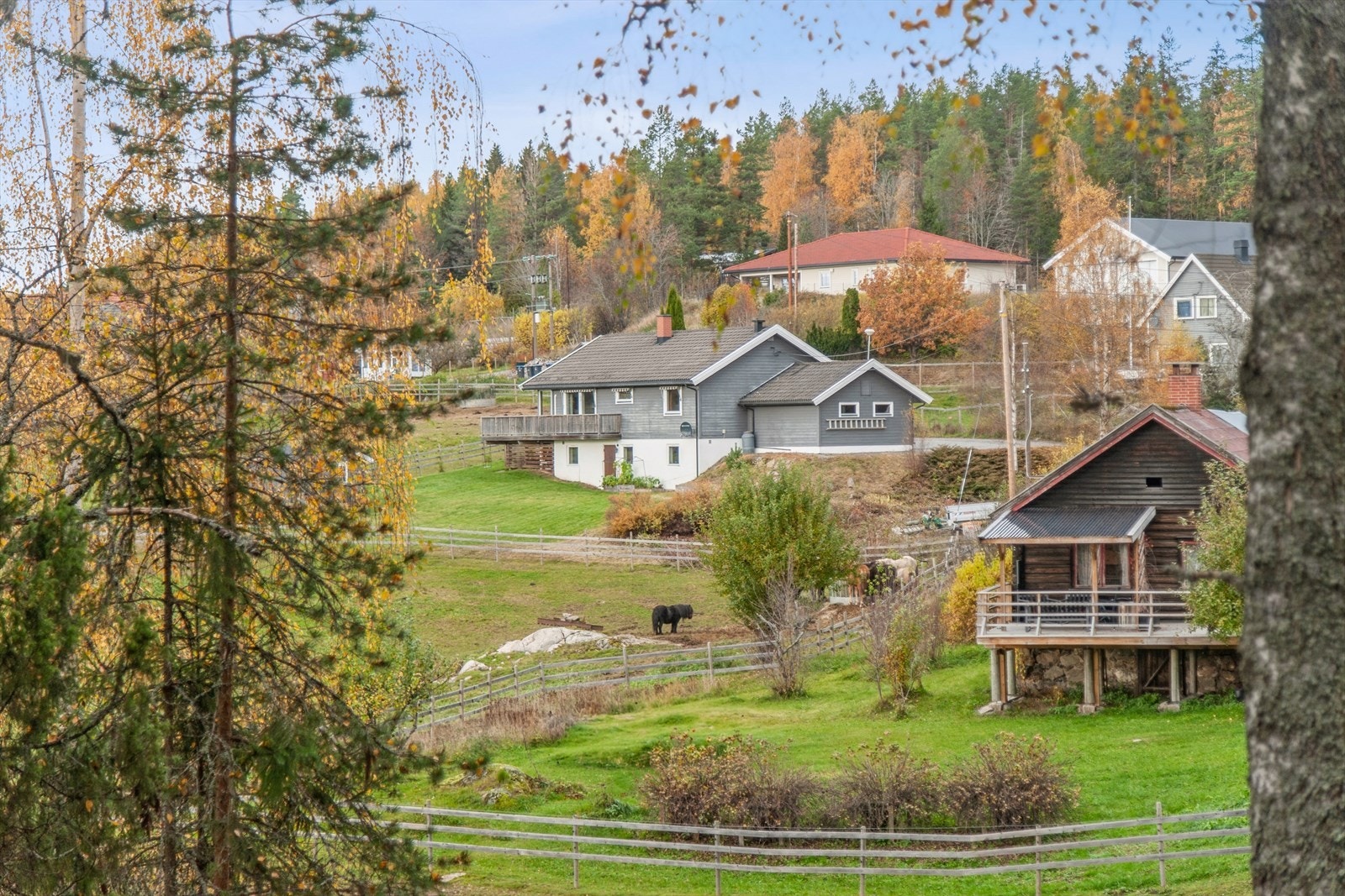 Landlig idyll med spredt boligbebyggelse og gårder som nærmeste naboer. Galleribilde