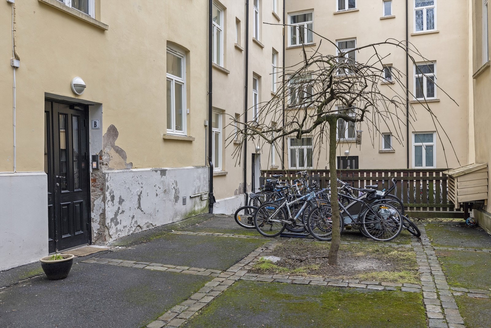 Det er tilrettelagt for sykkelparkering i bakgården. Galleribilde