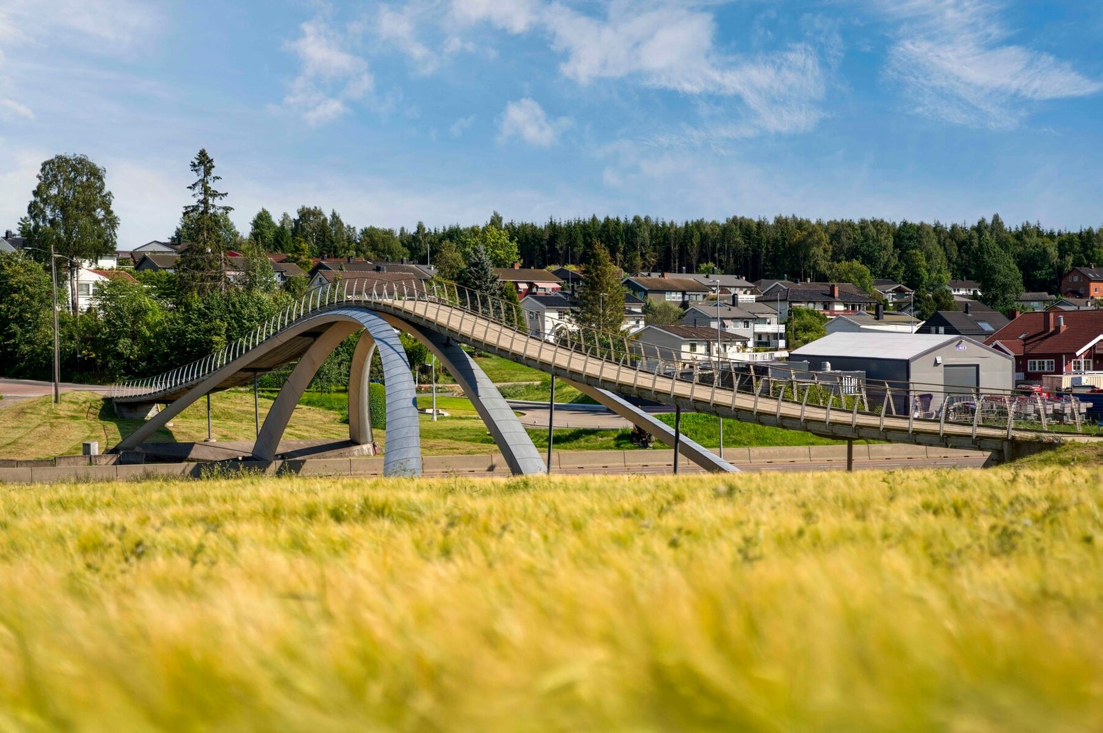 Da Vinci-broen Galleribilde